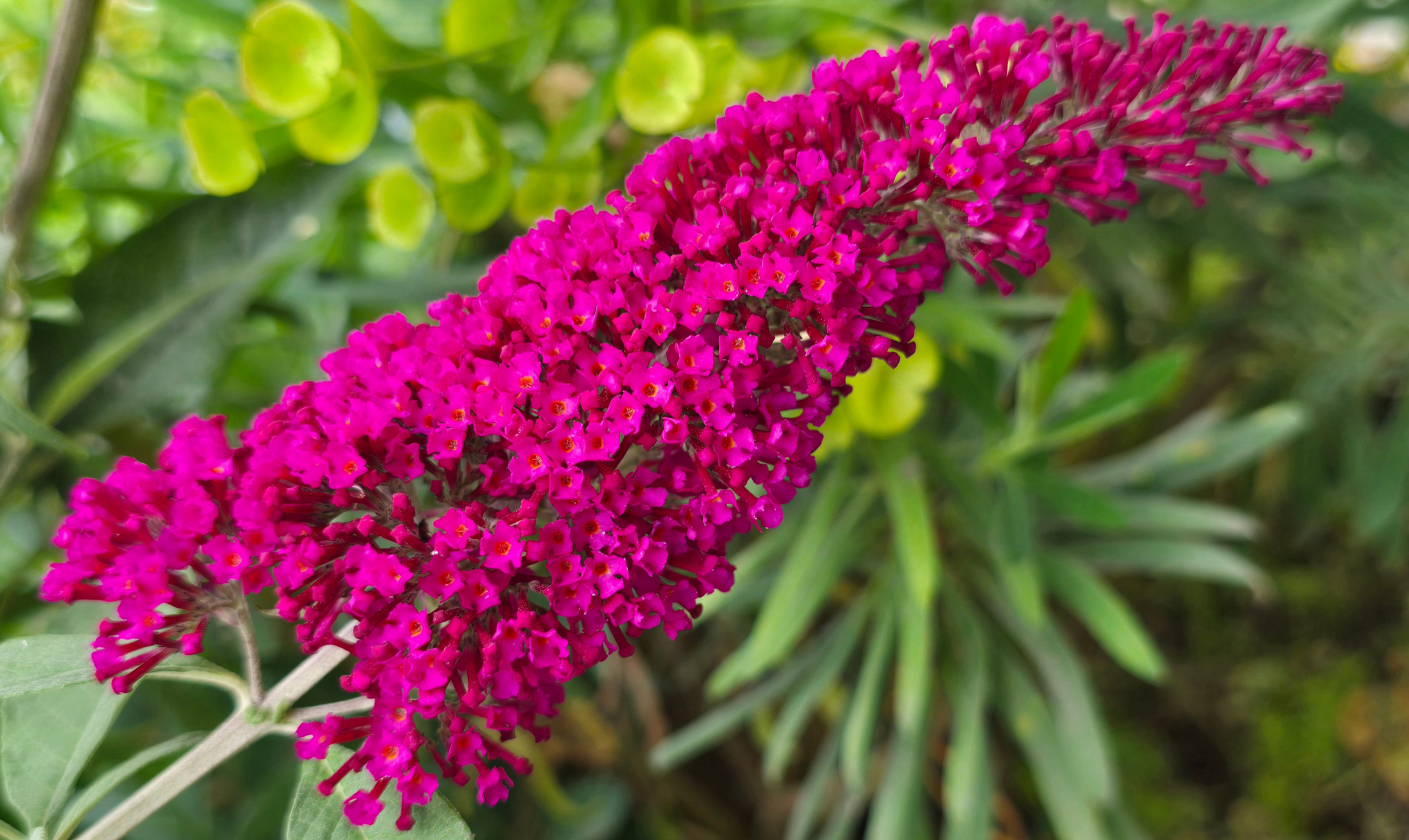 composition photography