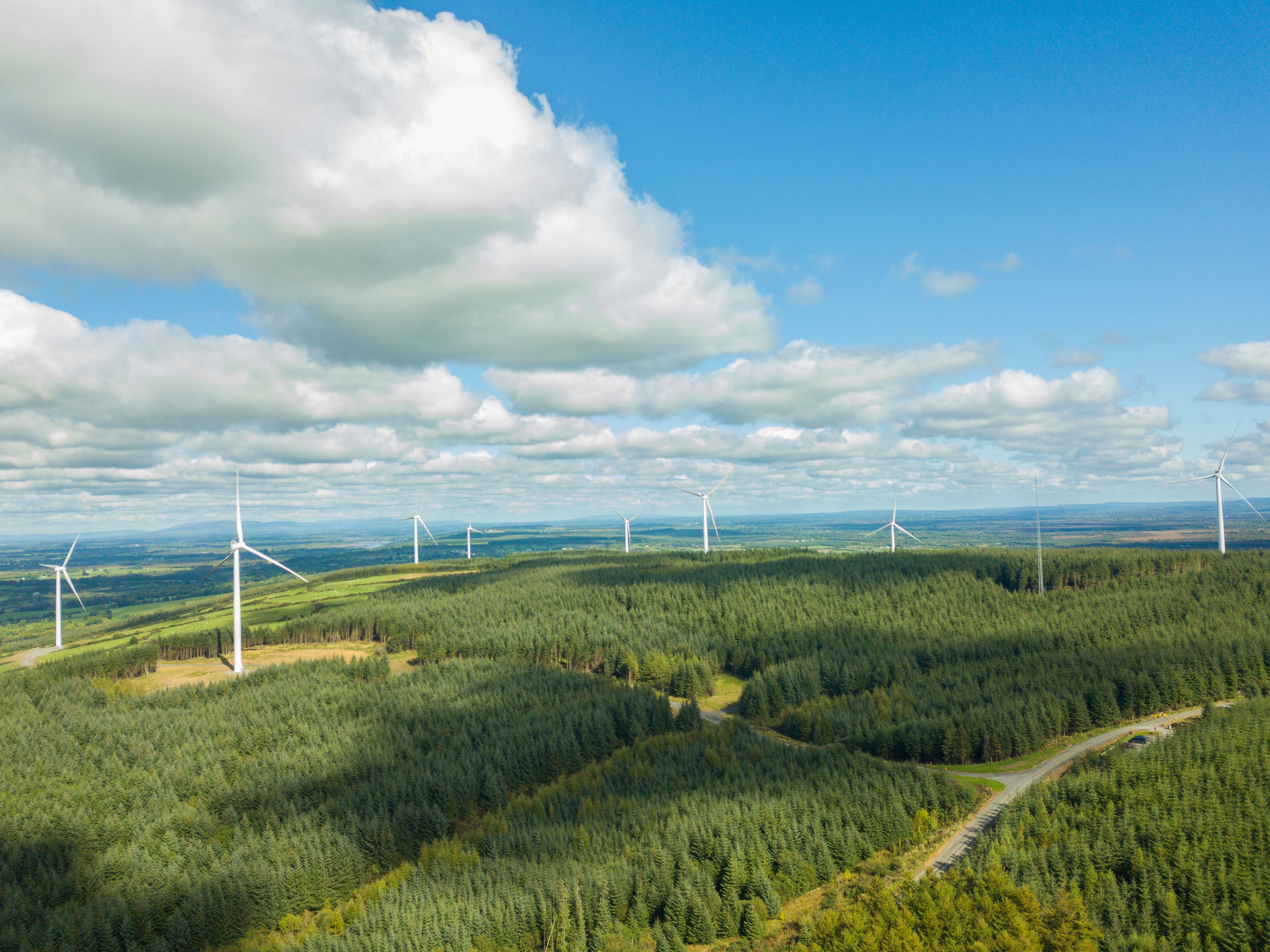 Wind turbines in a forest