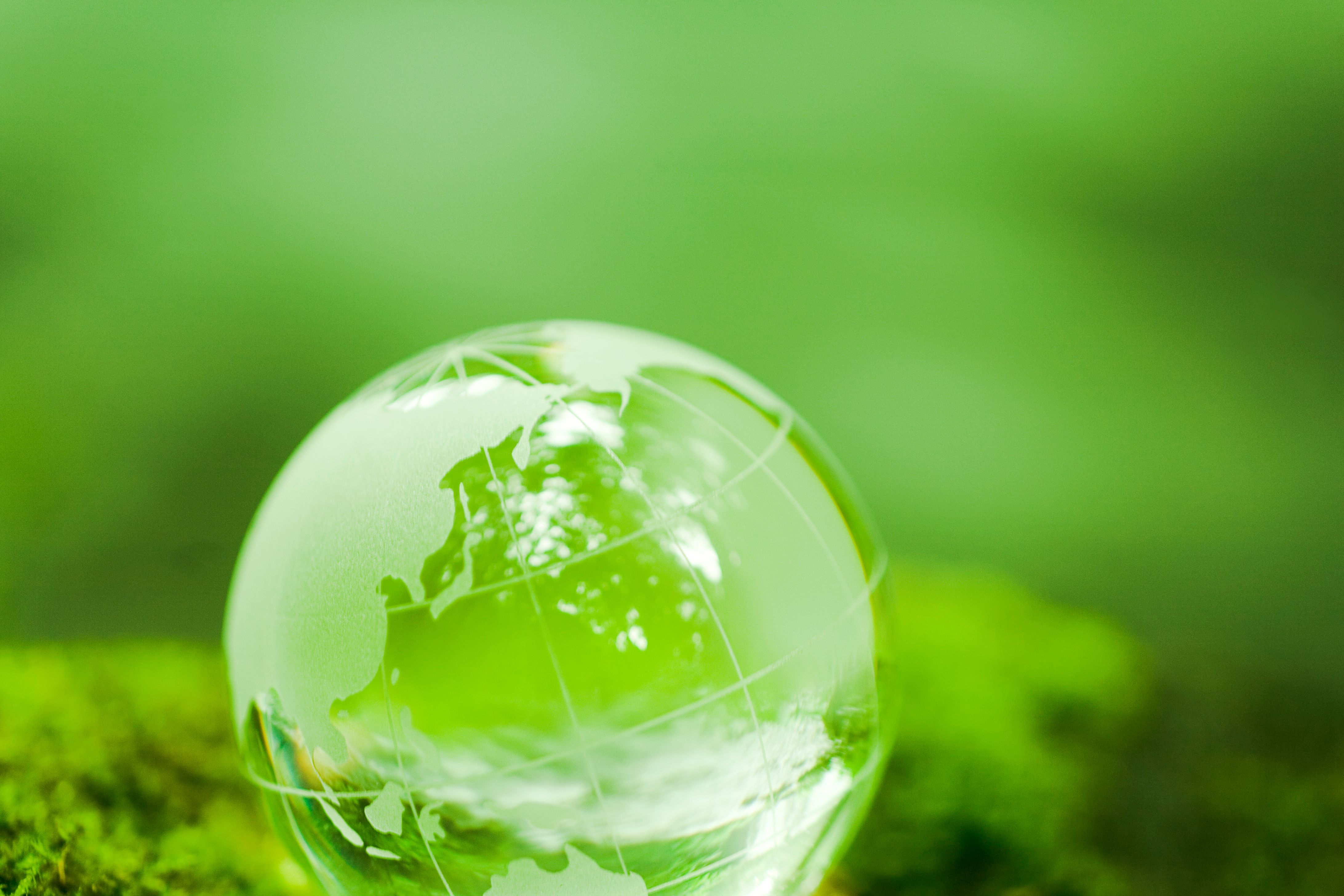 Globe On Mossy Rock Near Mountain Stream Globe On Mossy Rock Near Mountain Stream