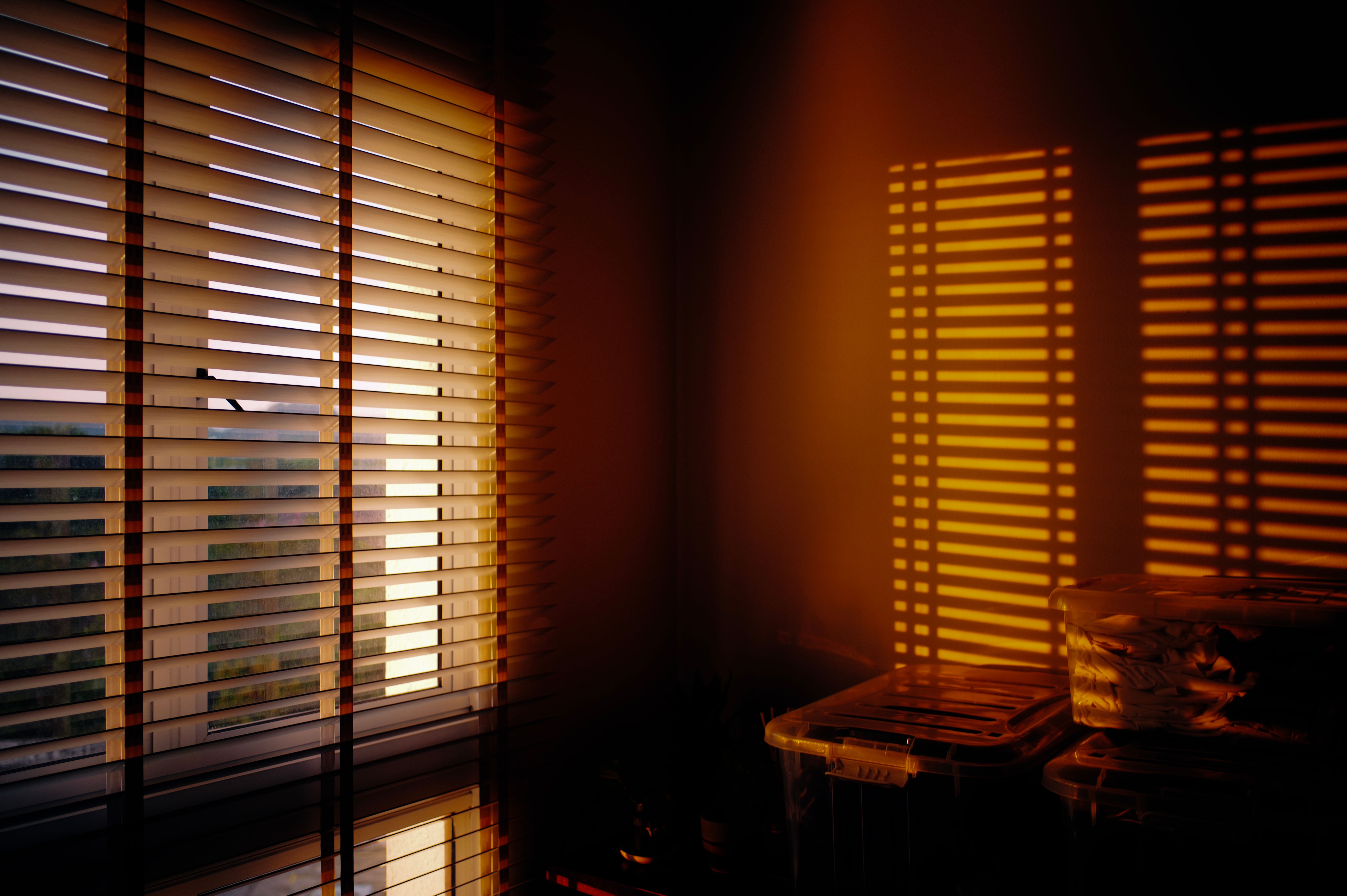 venetian blinds