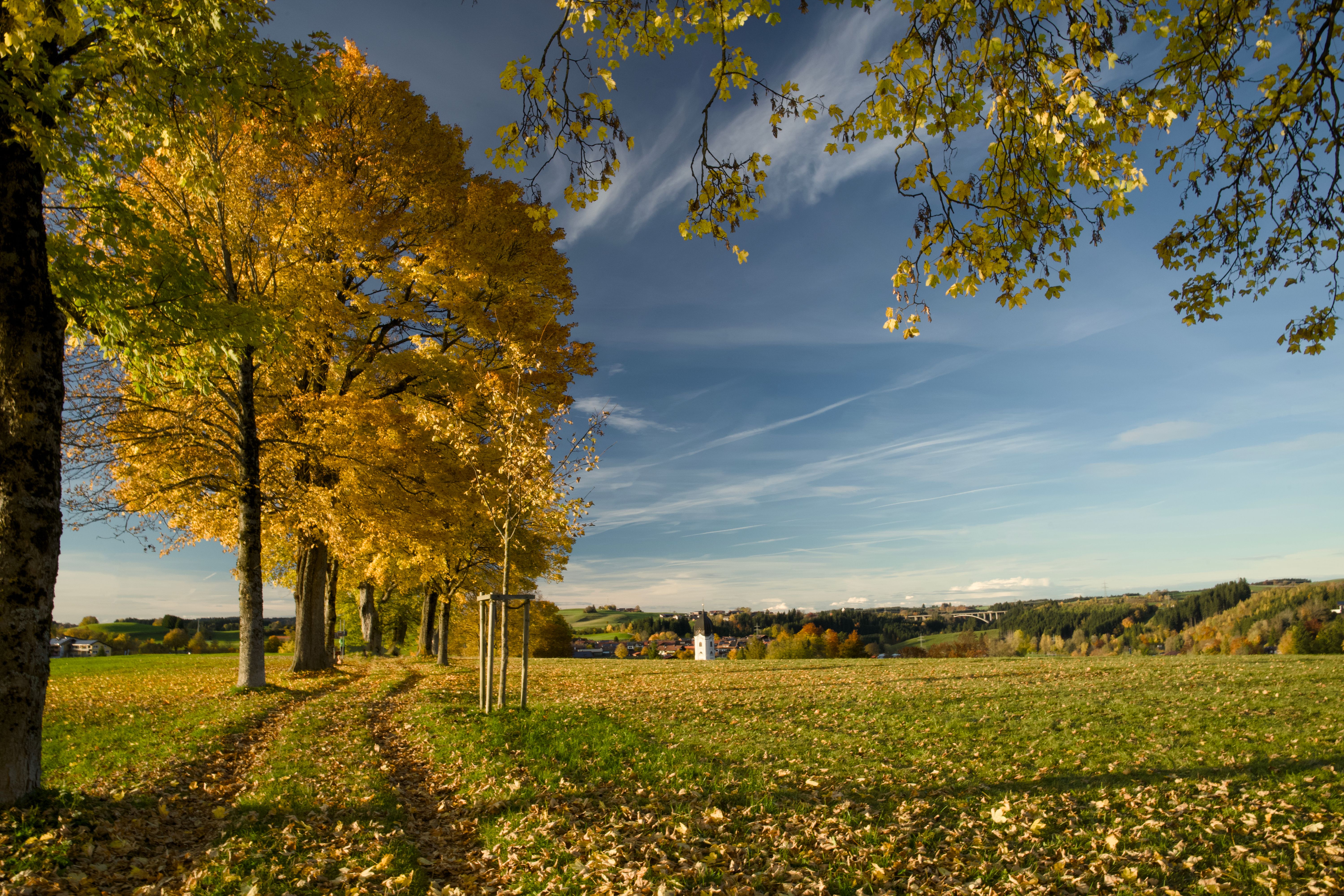 autumn wedding Germany