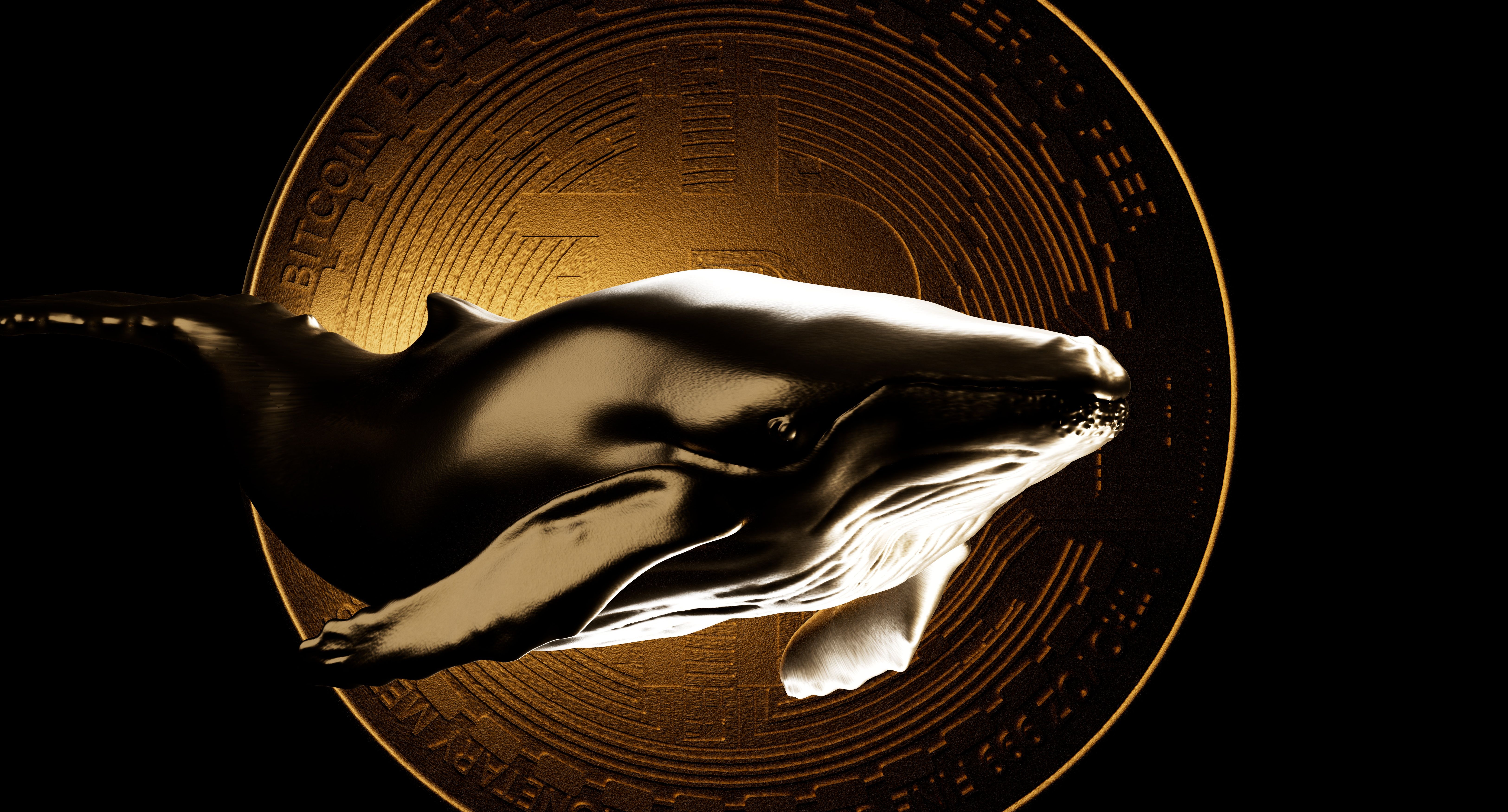 ethereum whale