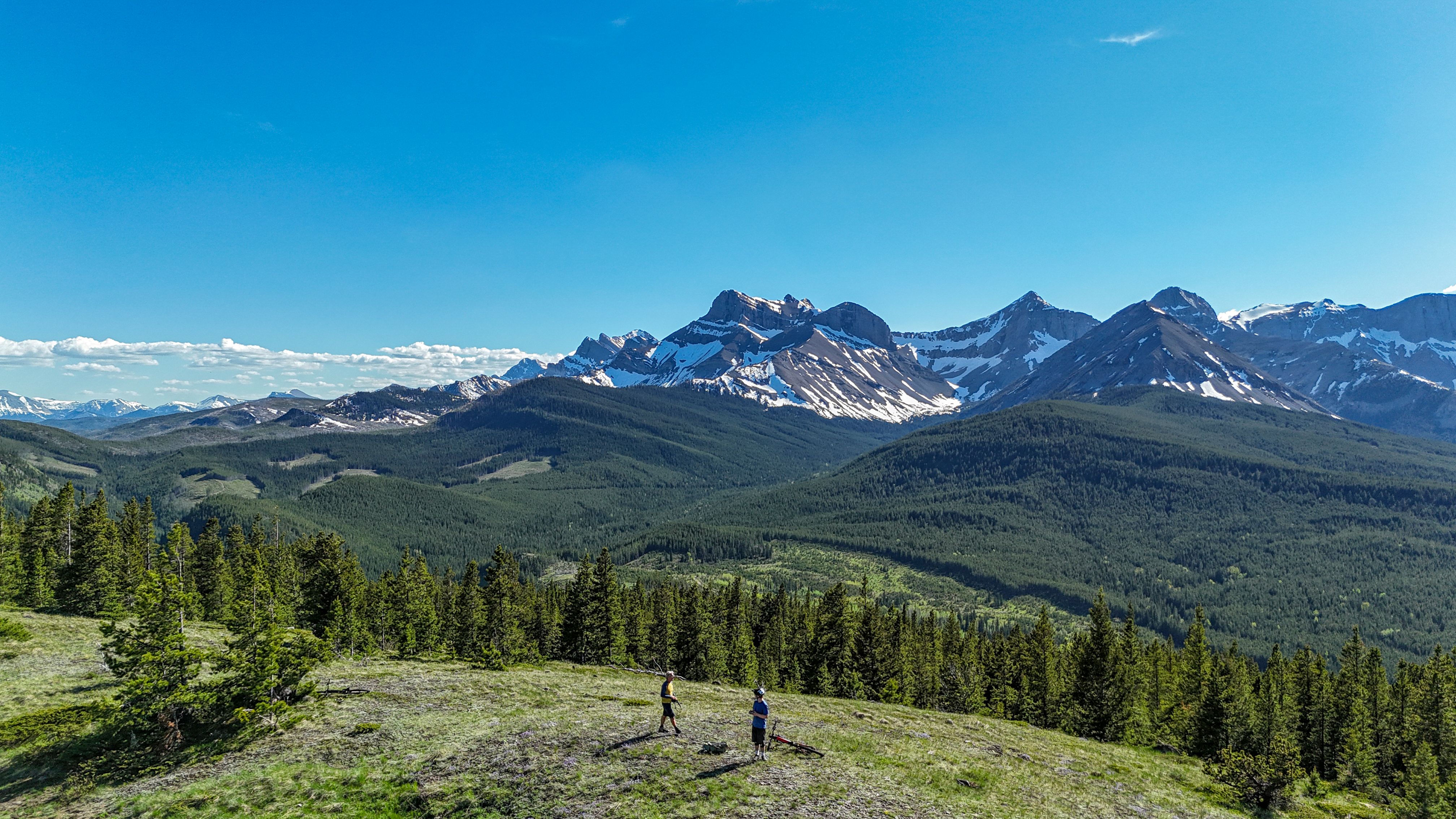 Aerial view of mountain bikers on alpine meadow