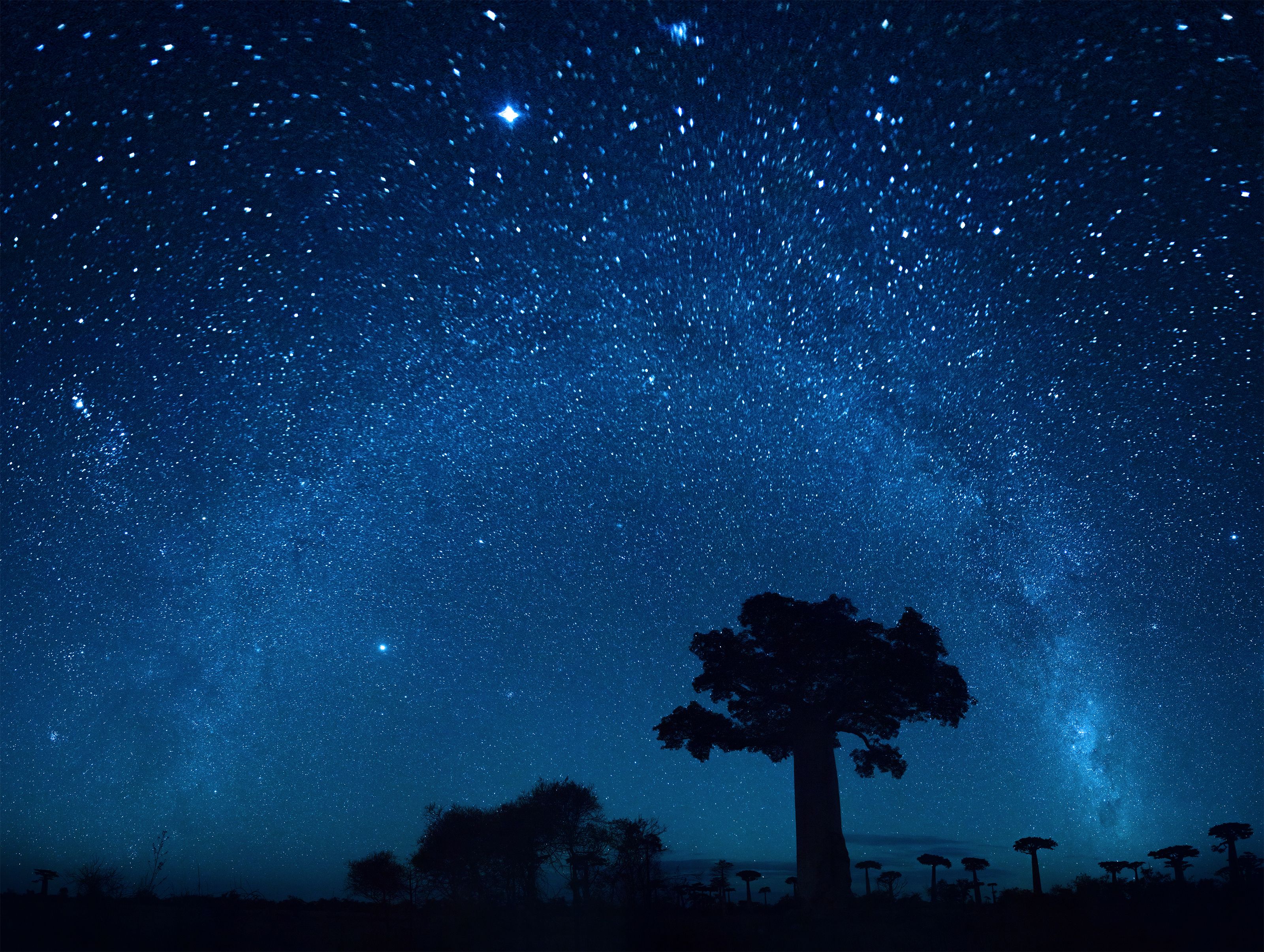 madagascar night sky