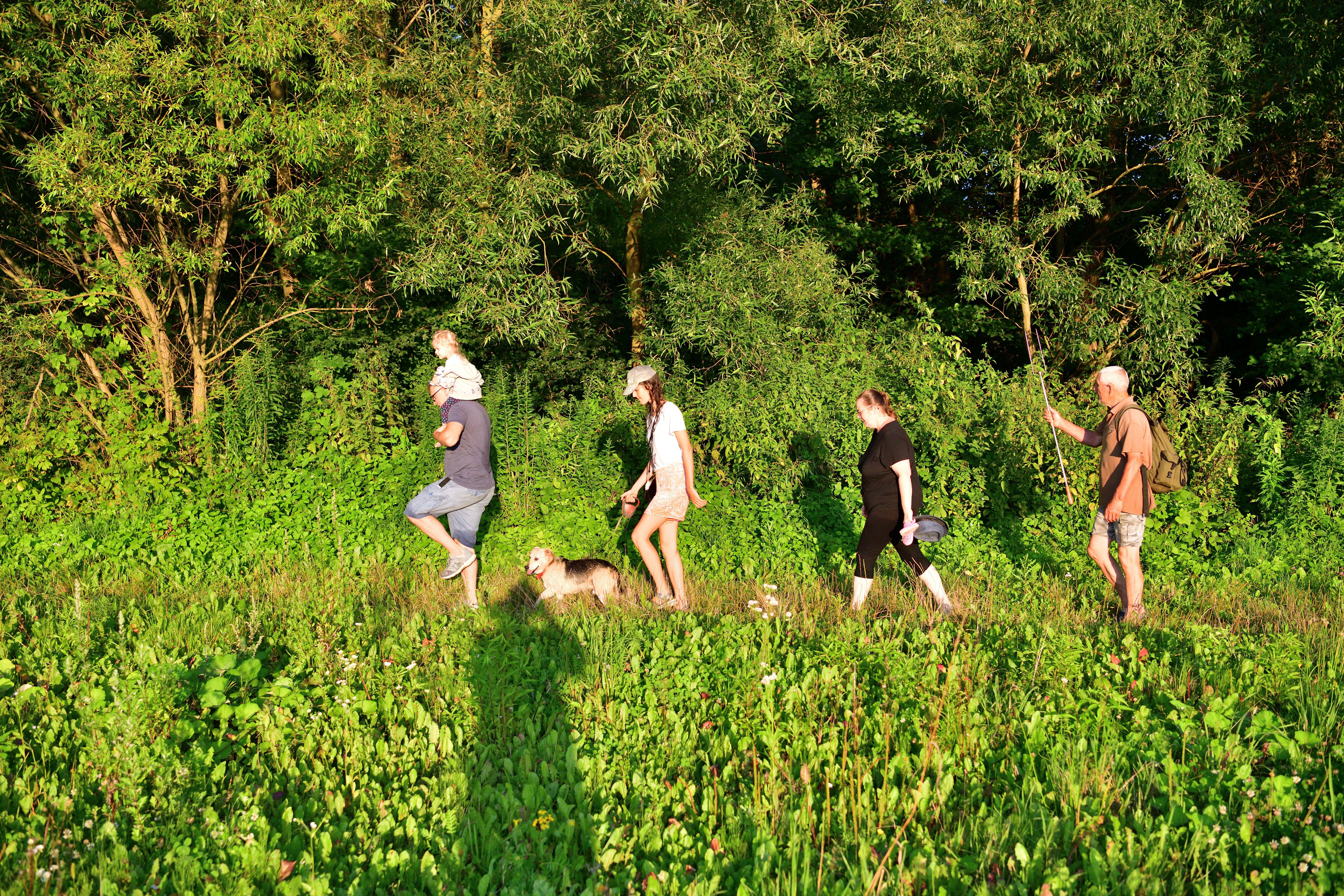 dagelijkse activiteiten