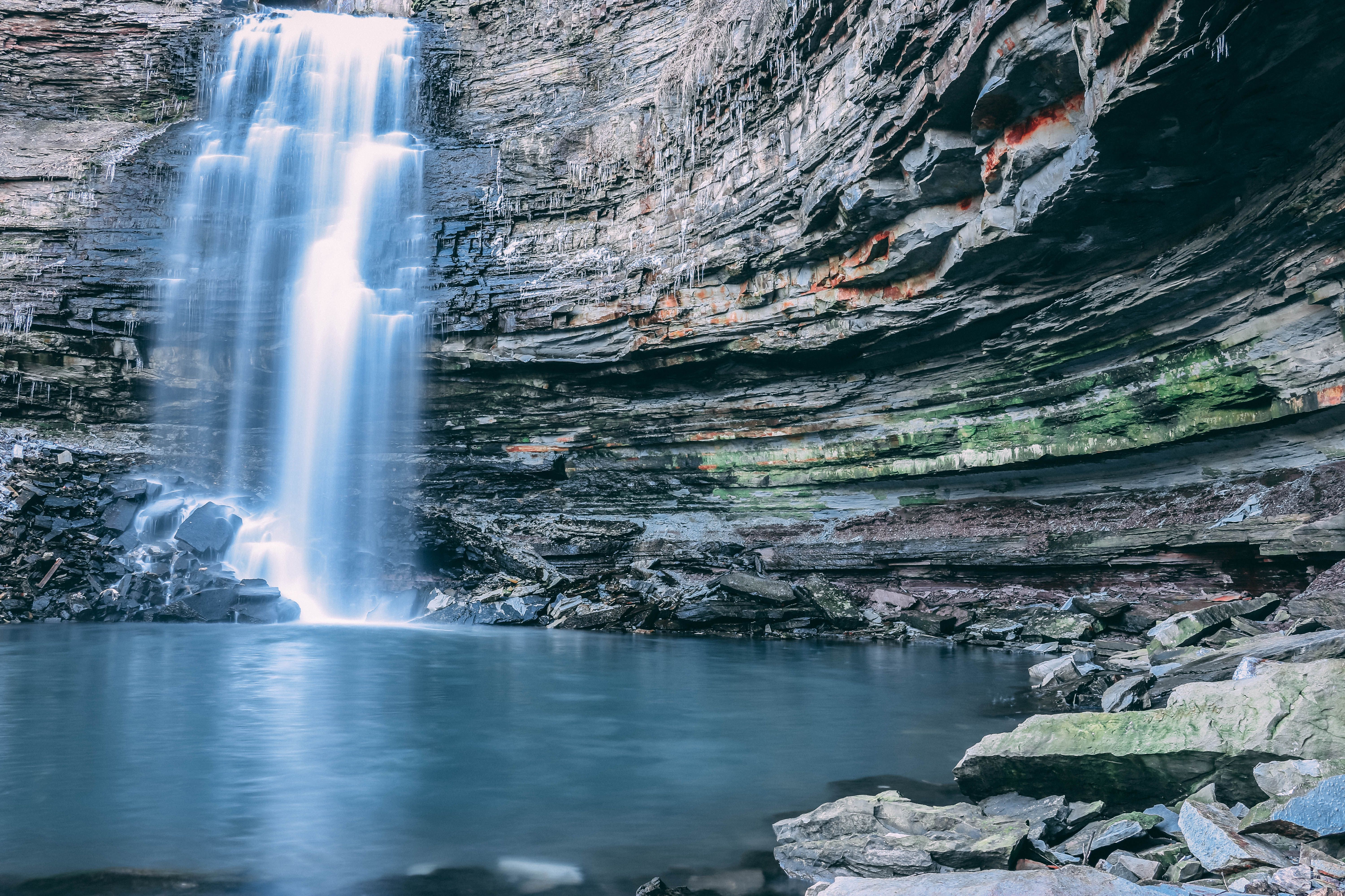 hamilton pool
