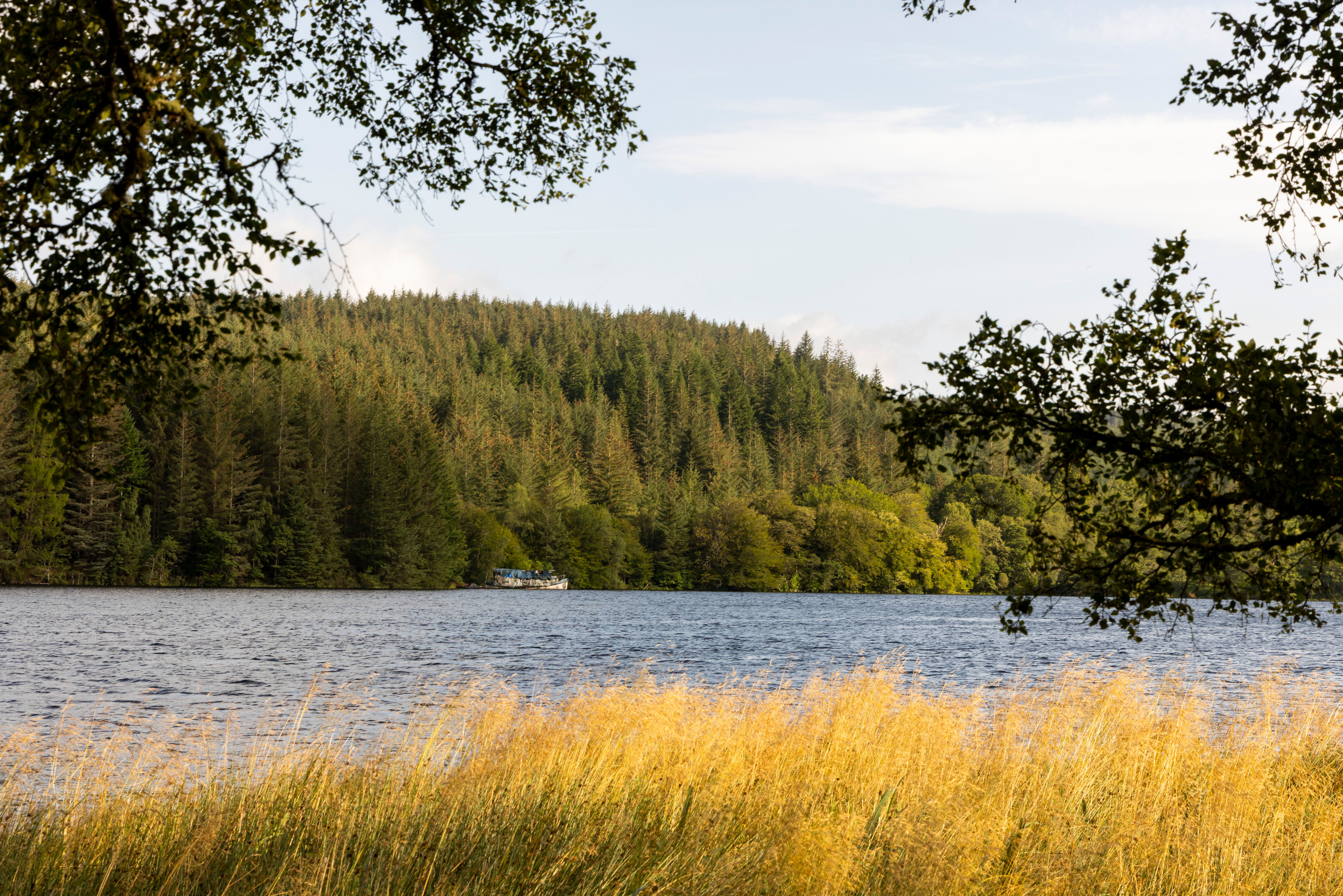 environmental sensors