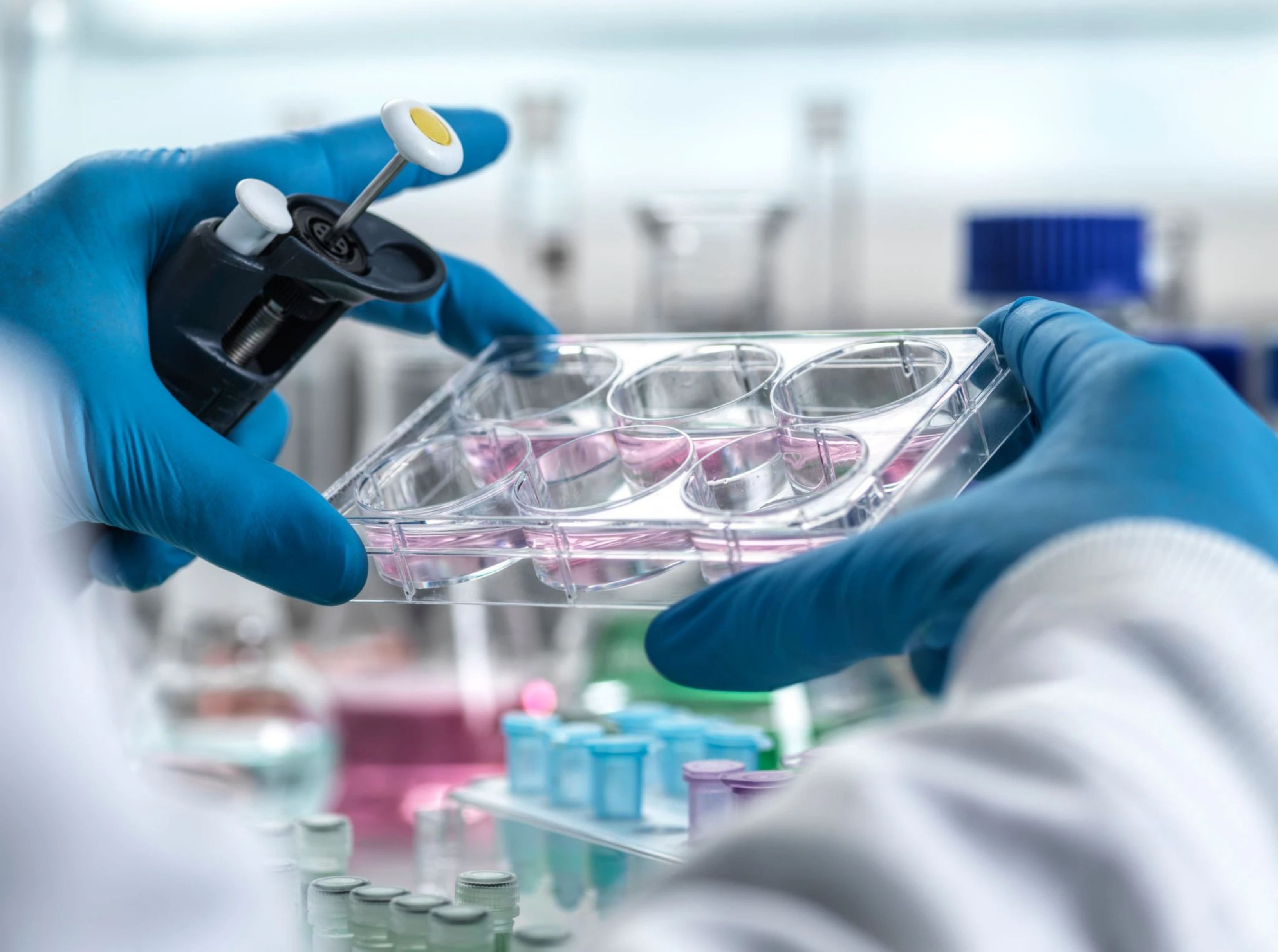 Scientist working with cell cultures in a lab, conducting research and analysis.