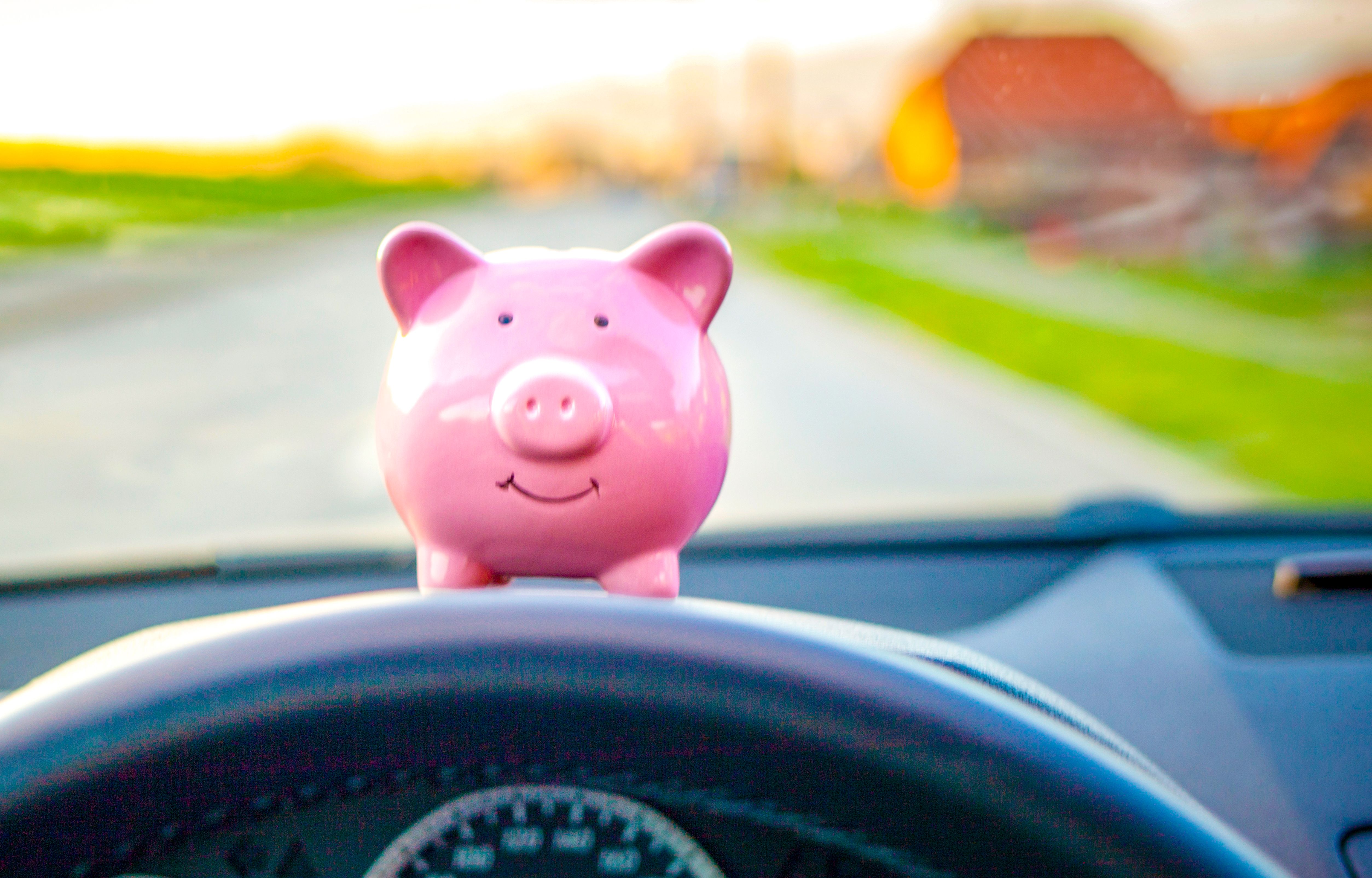 car insurance renewal