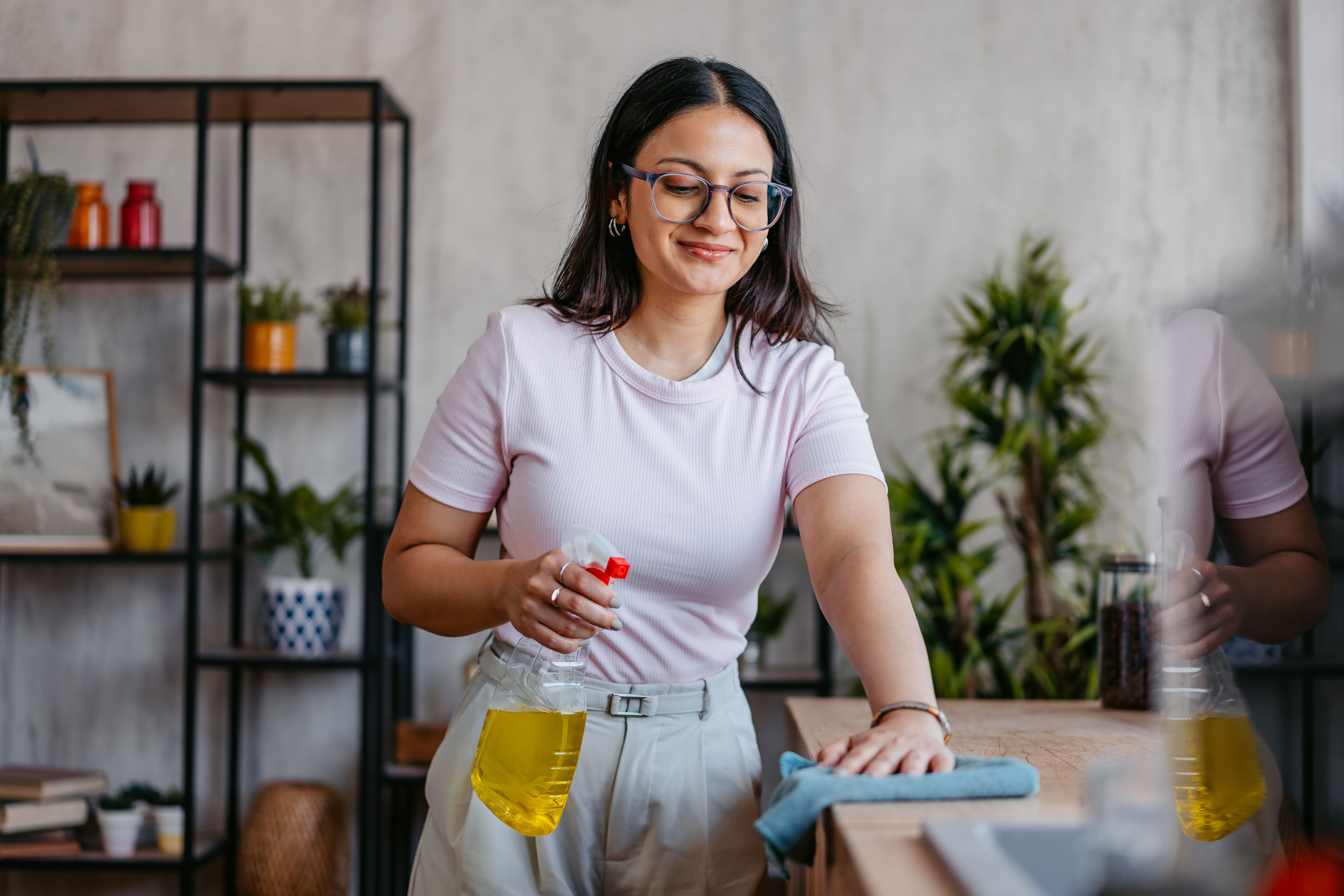 professional cleaning service