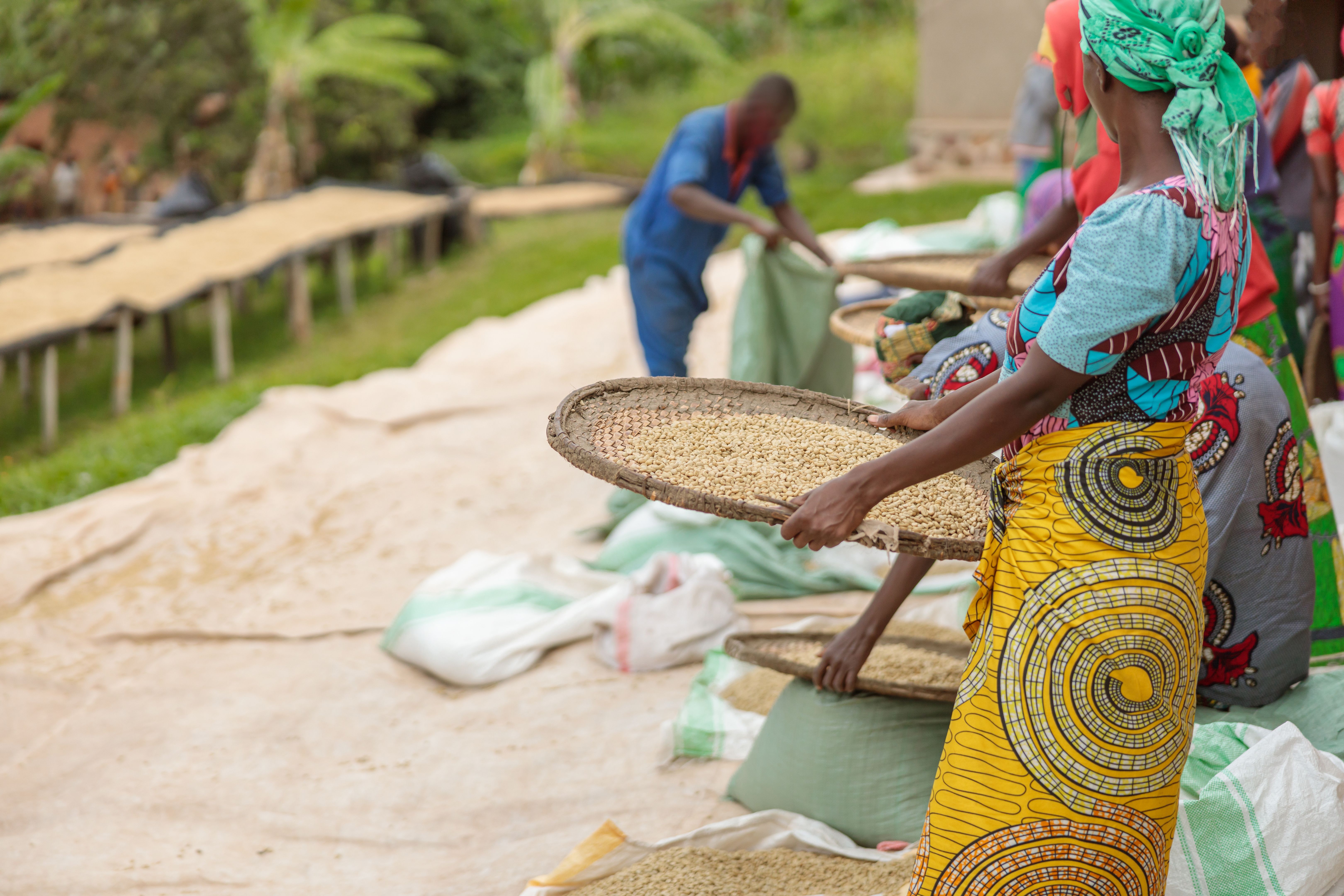 african women farming