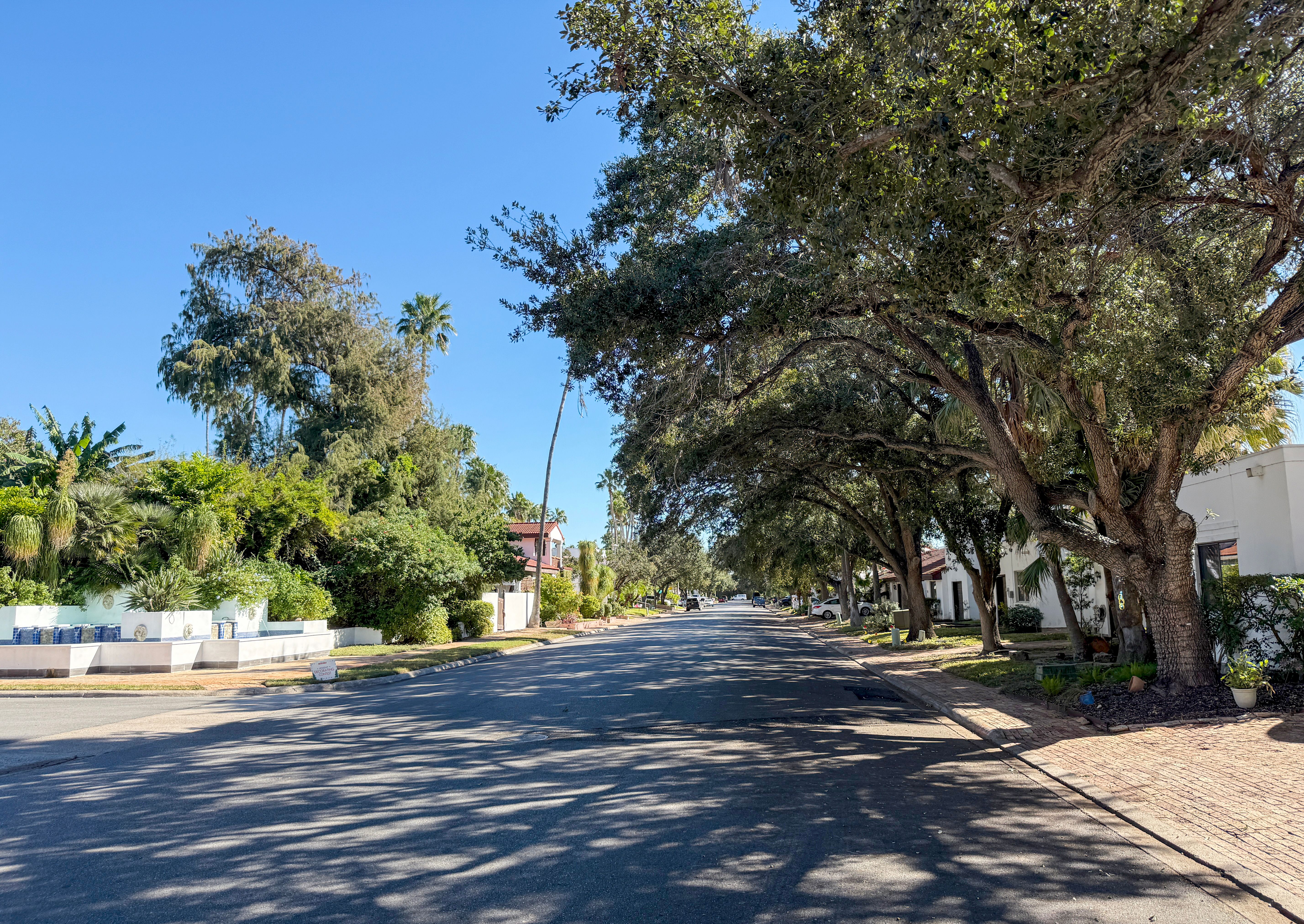 McAllen neighborhood