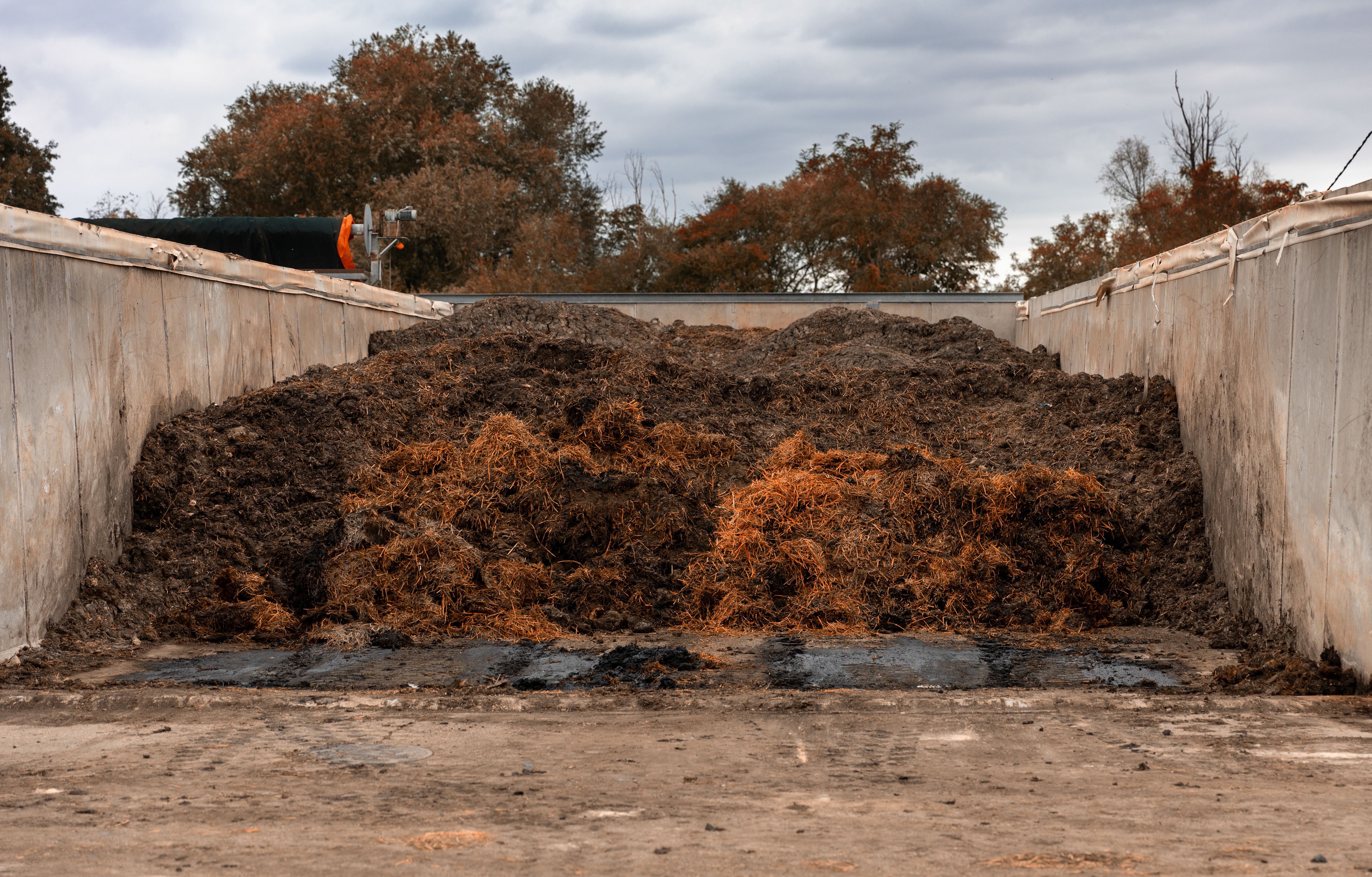 Heap animal dung in farmyard