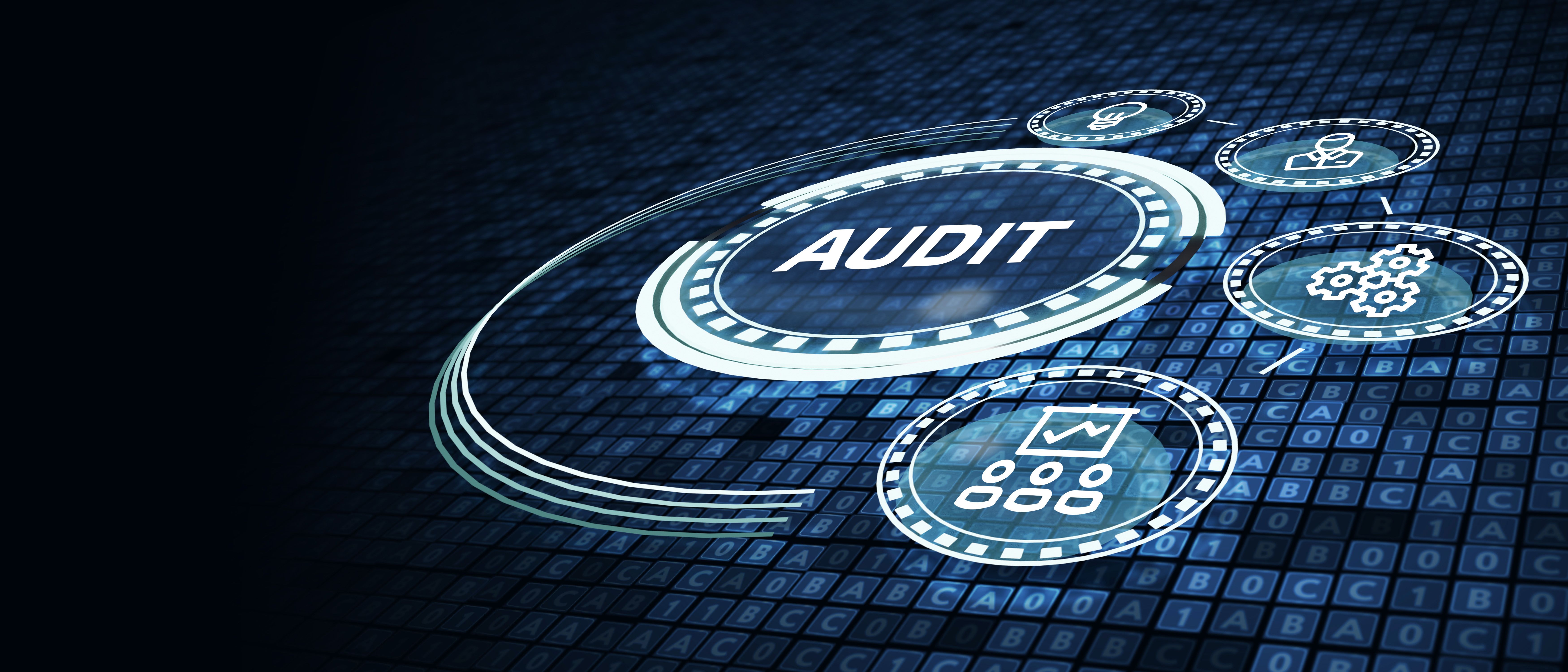 financial audit process