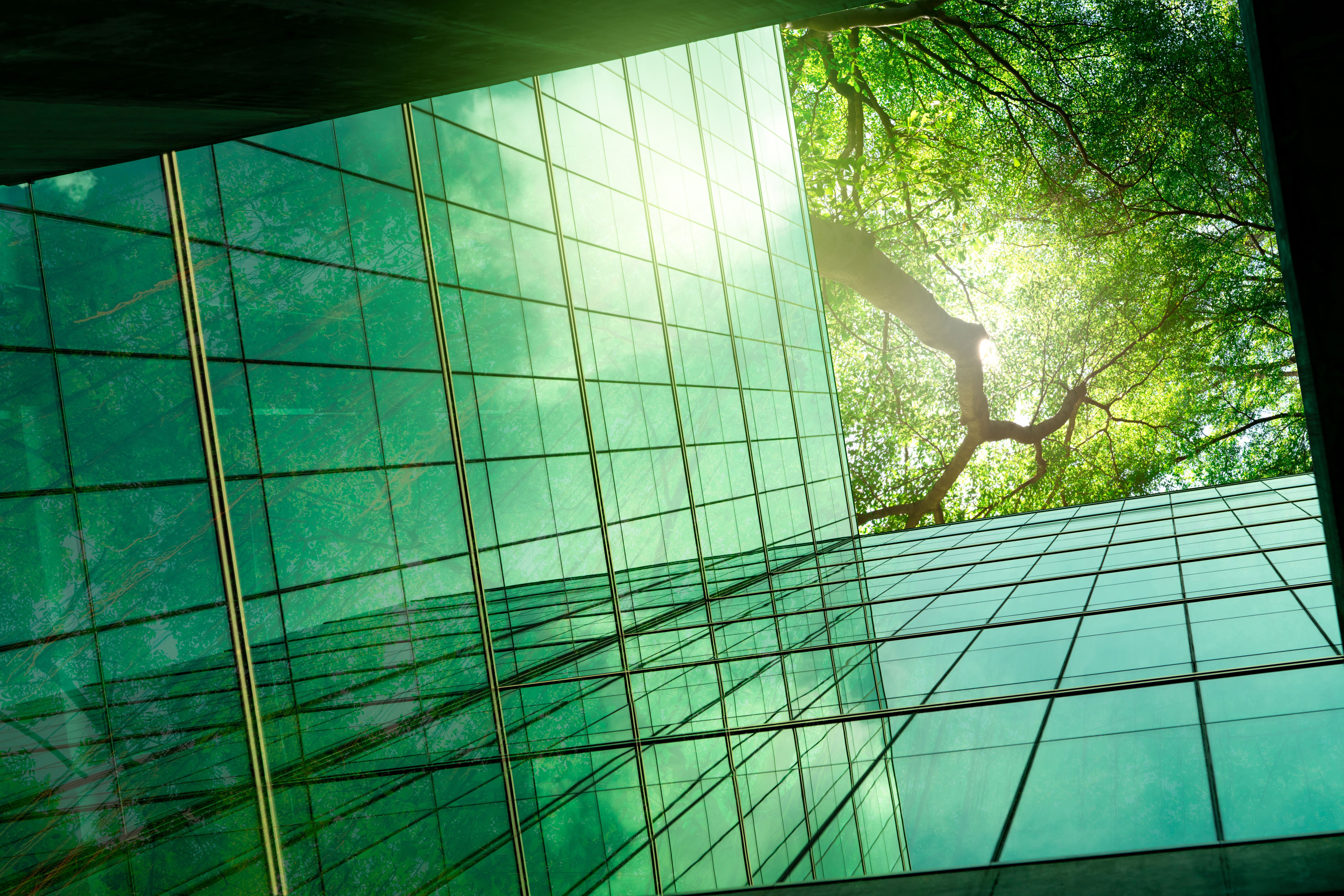 sustainable architecture