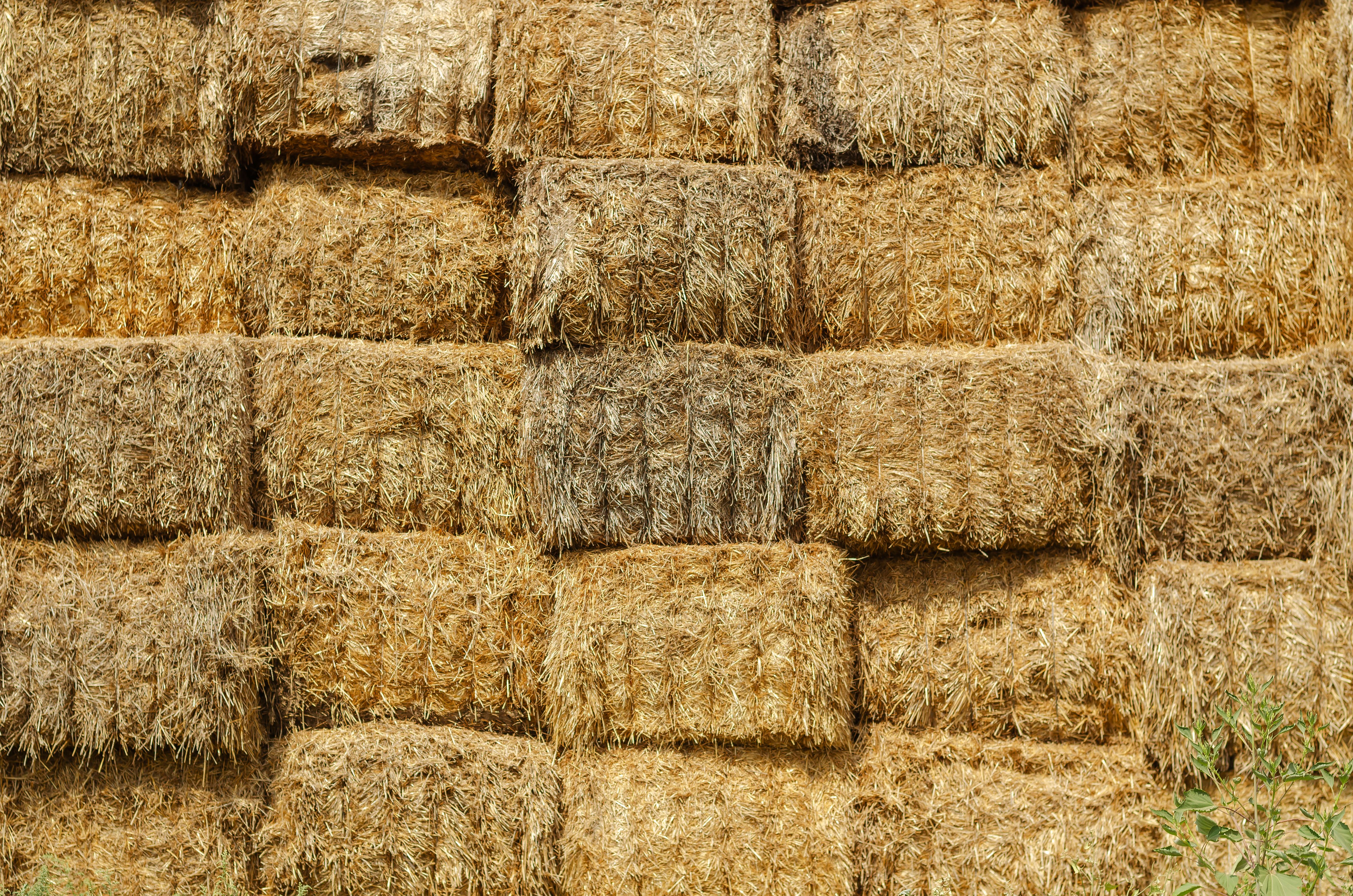 hay bales storage