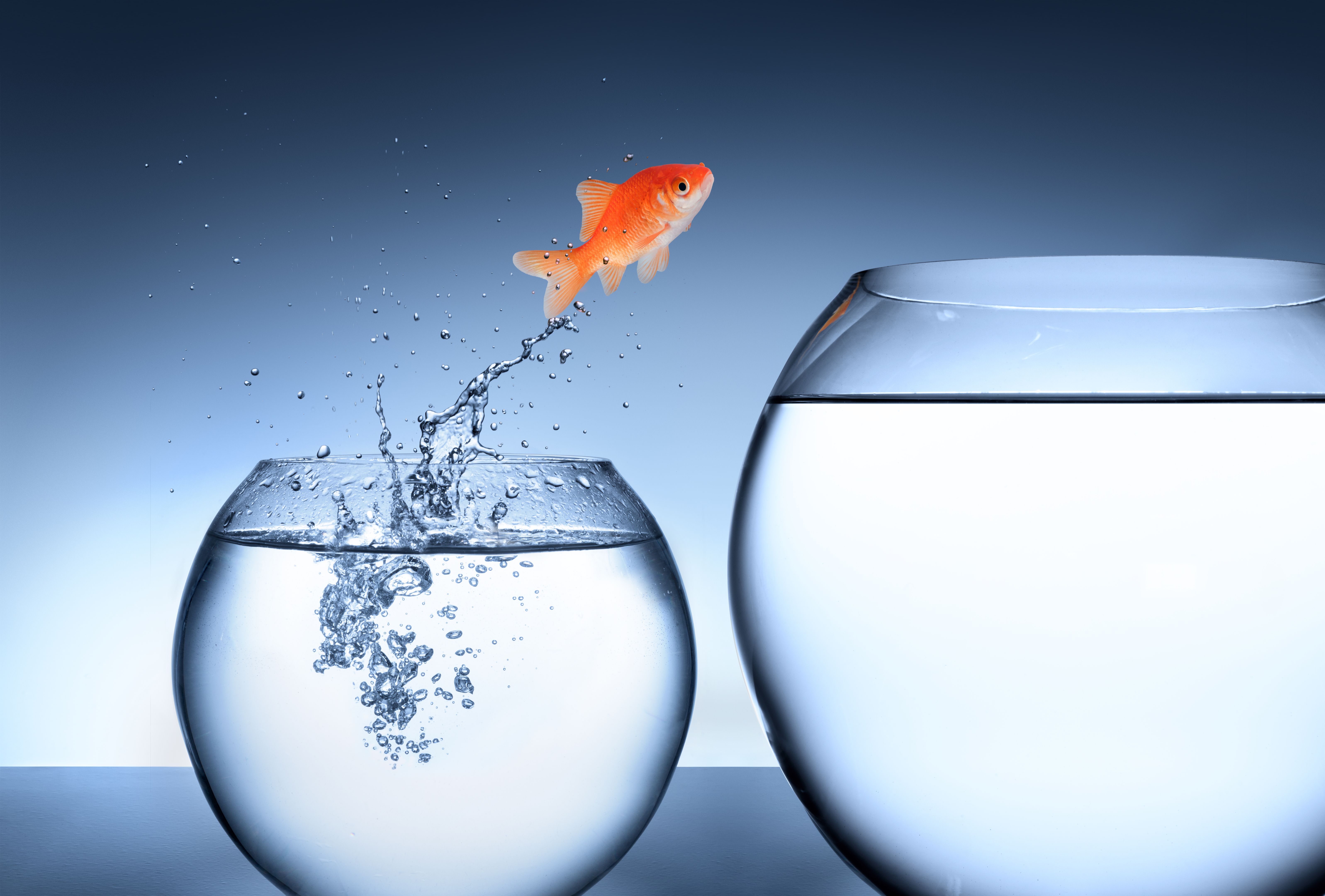 opportunities challenges