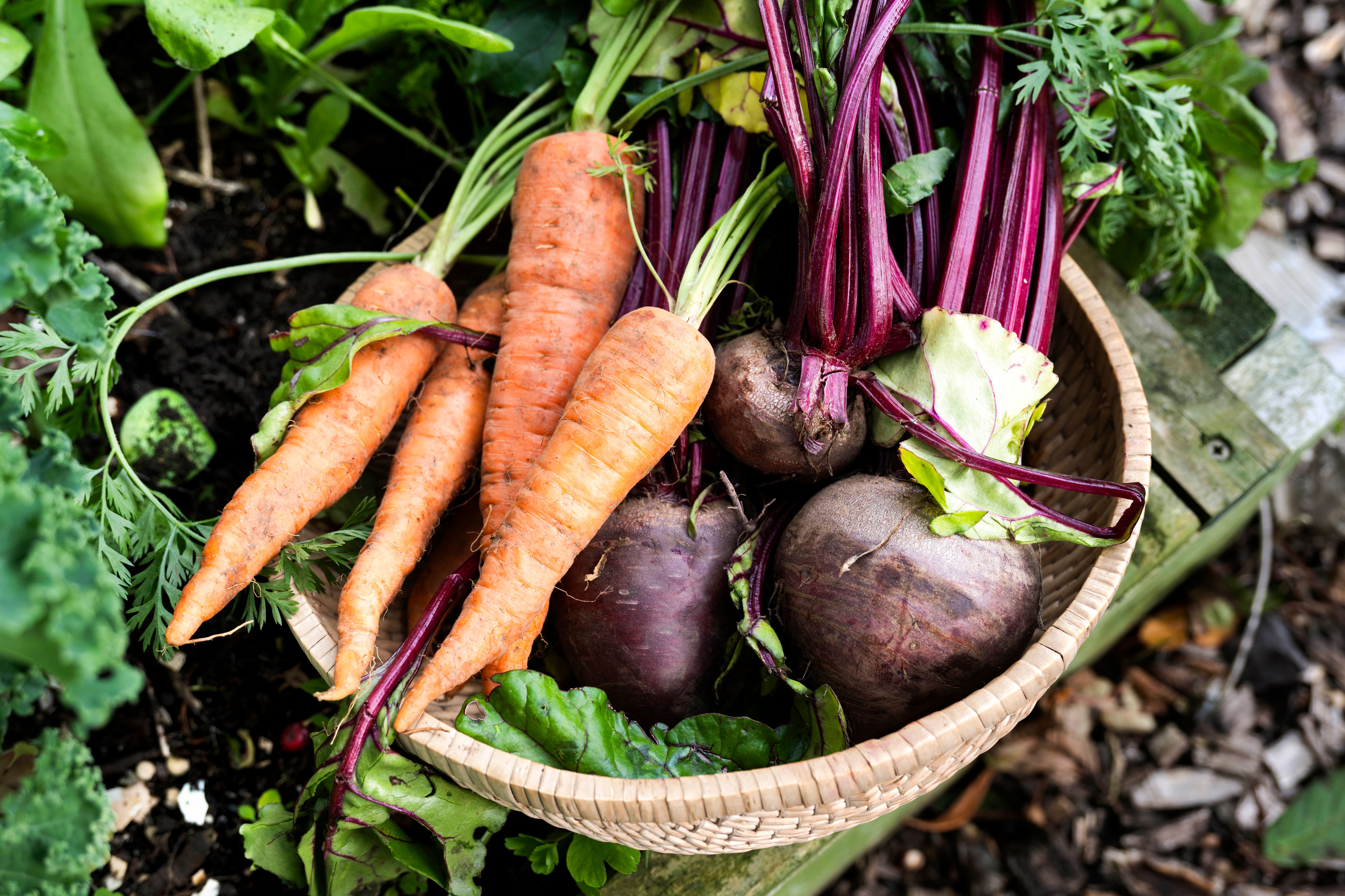 garden success