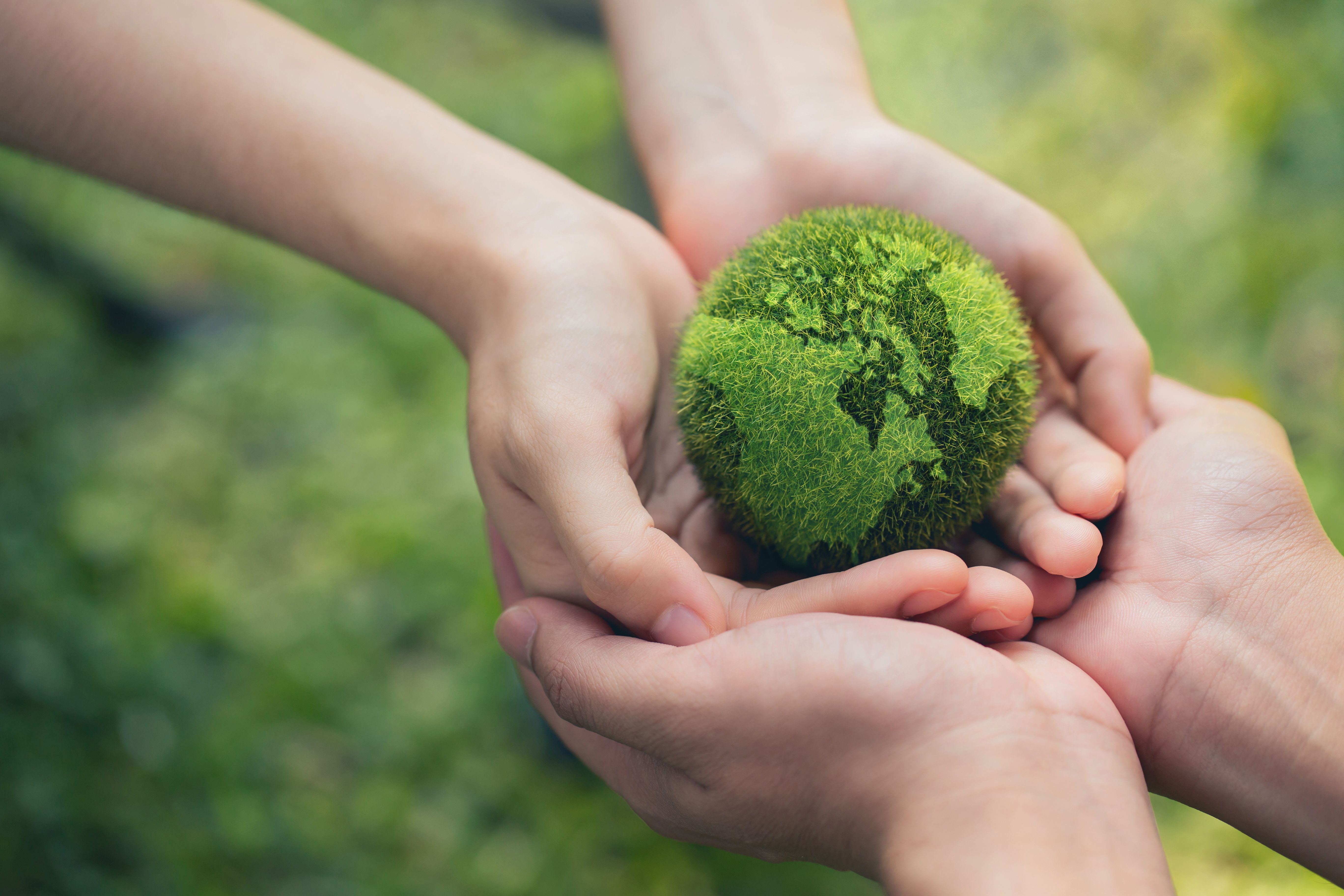 sustainable agriculture