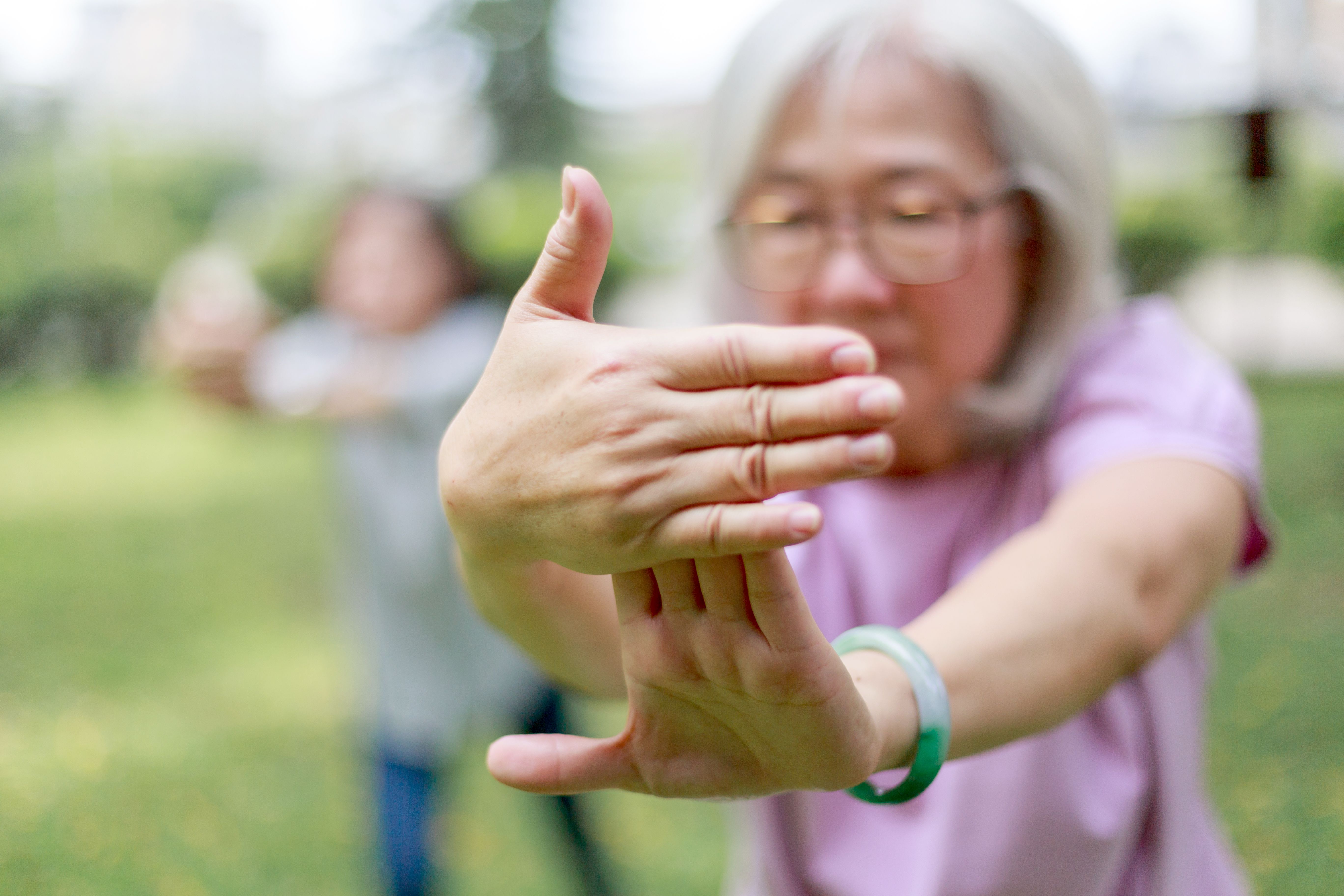 Senior ladies doing exercise in the park