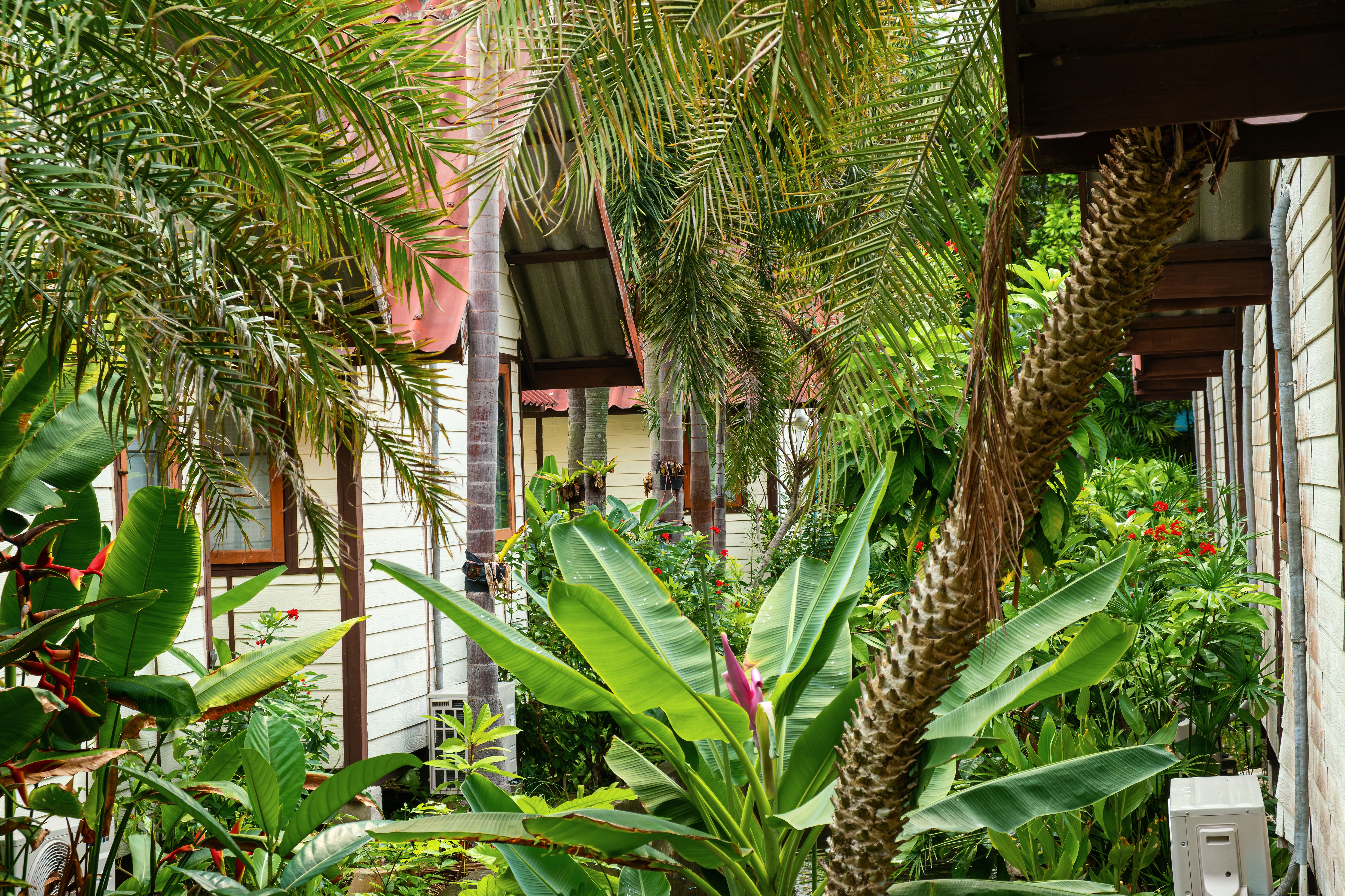 eco lodge