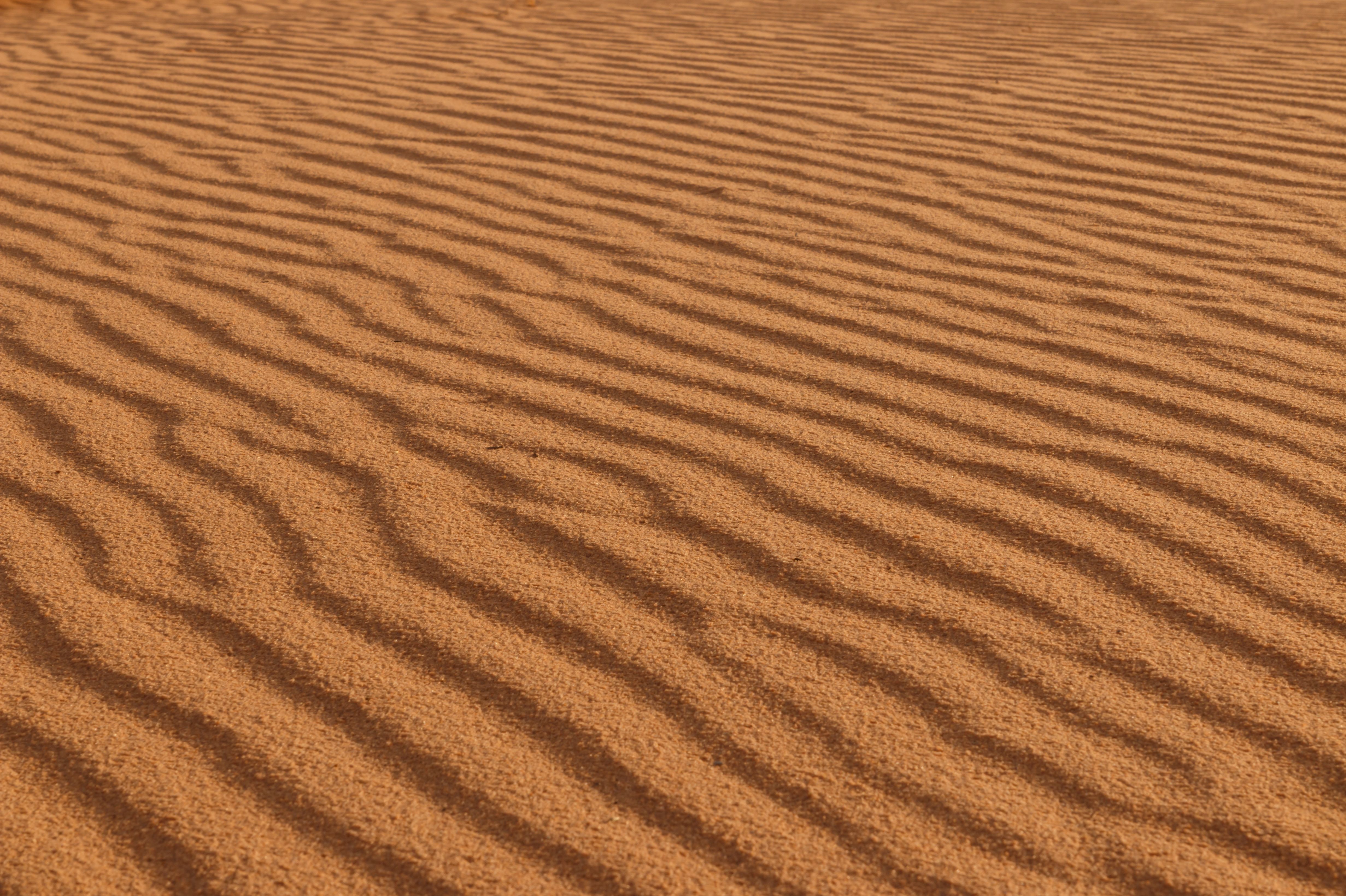 sandy desert
