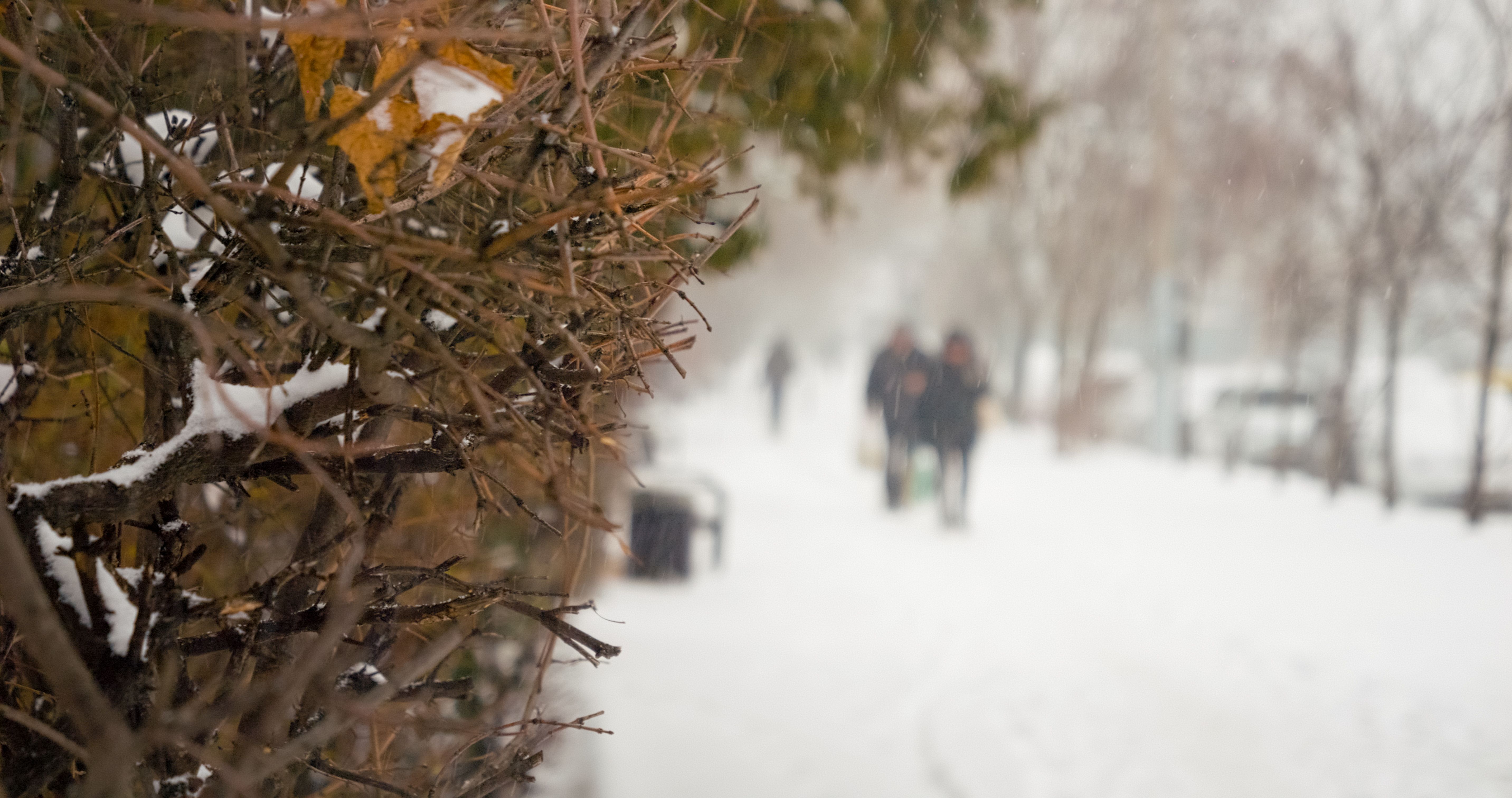 winter storm preparedness