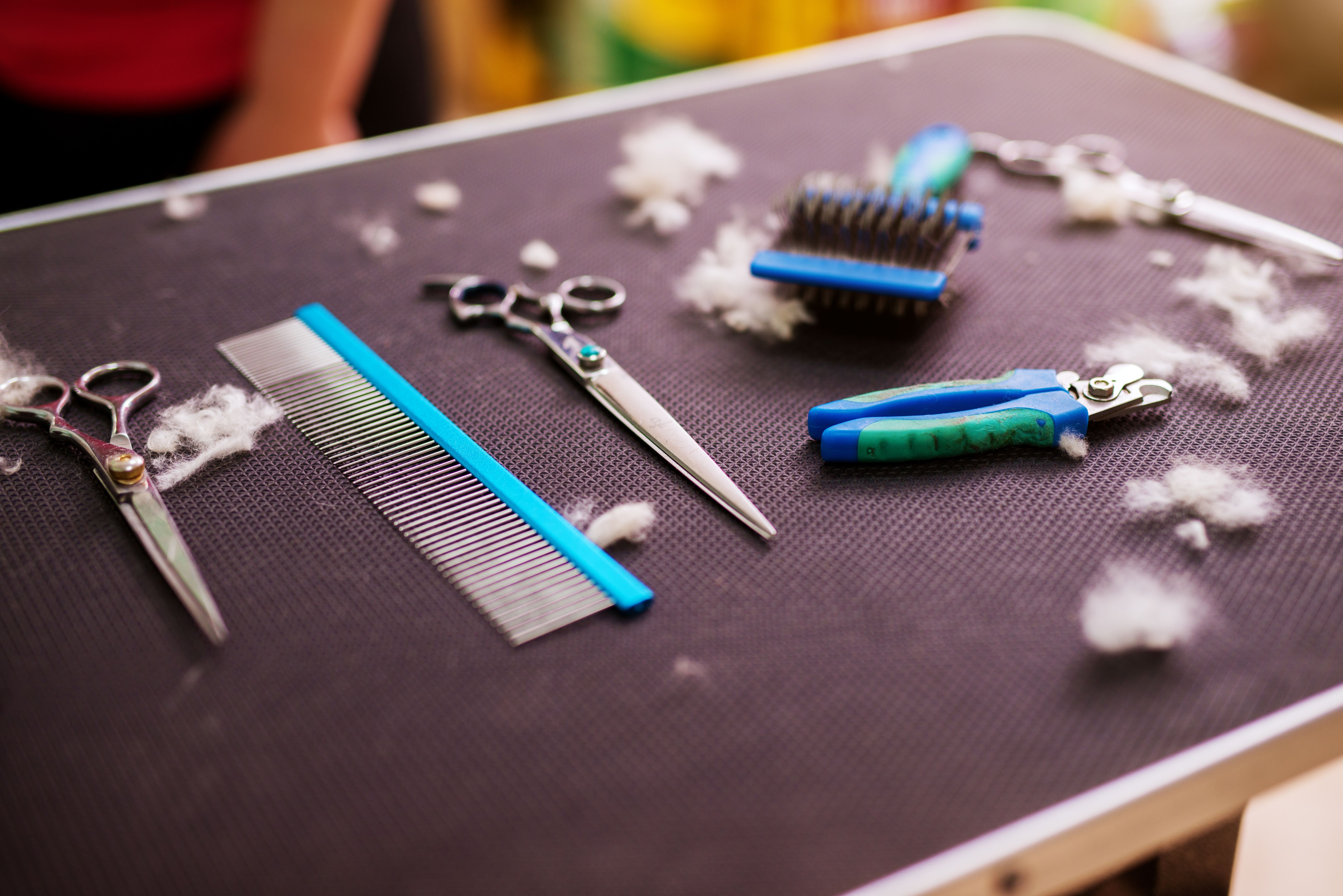 dog grooming tools