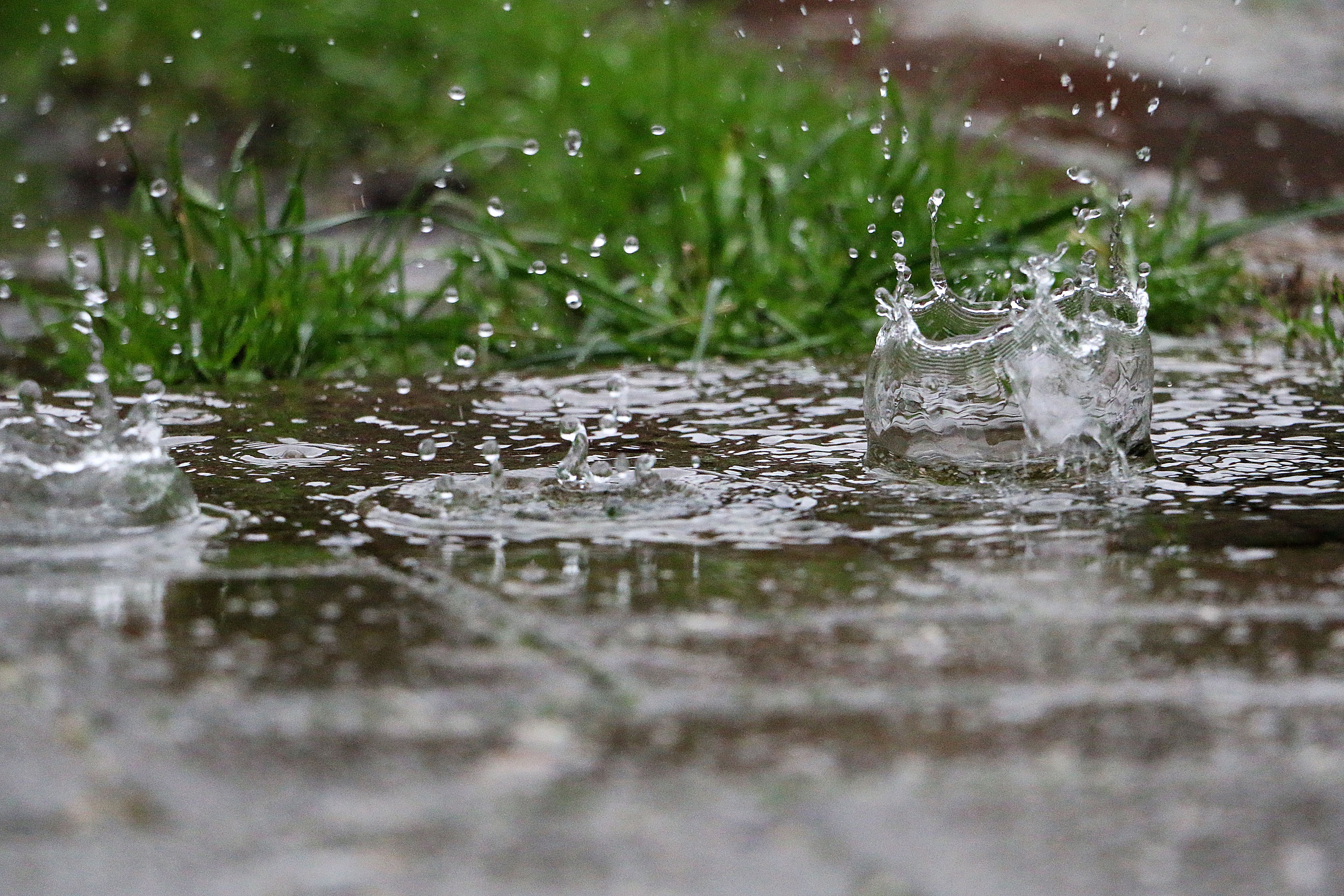 spring rain