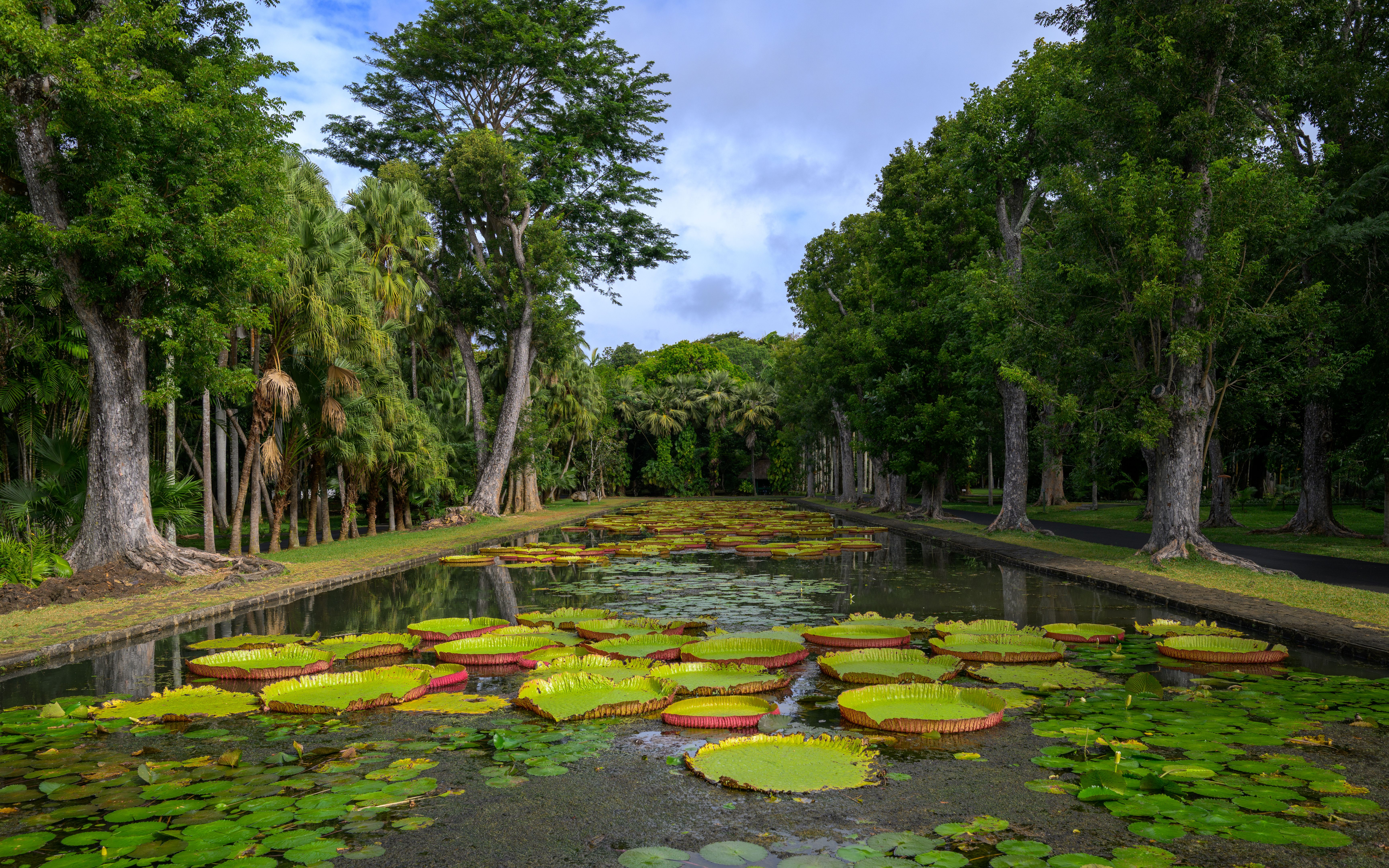 botanical garden