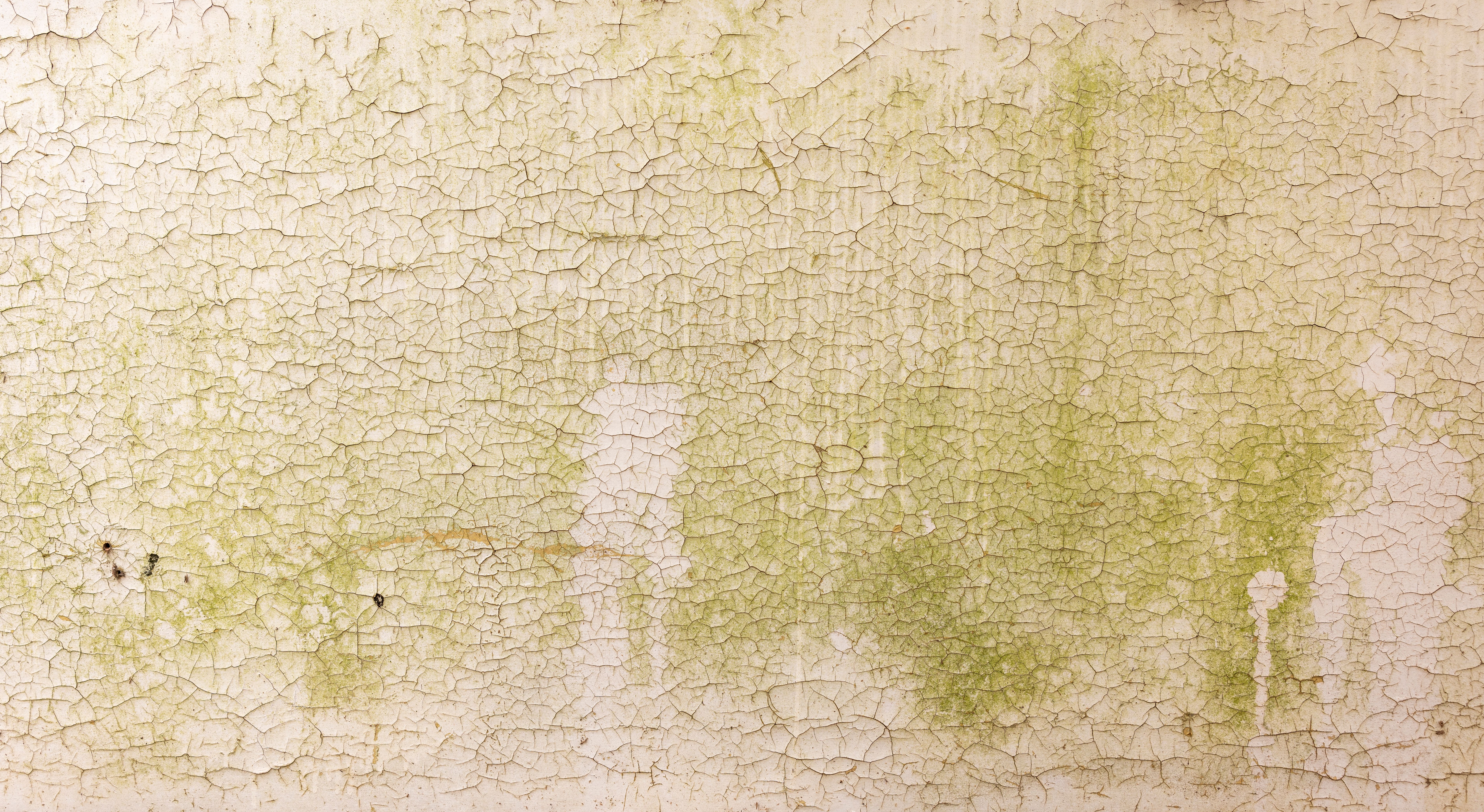 humidity effect on paint