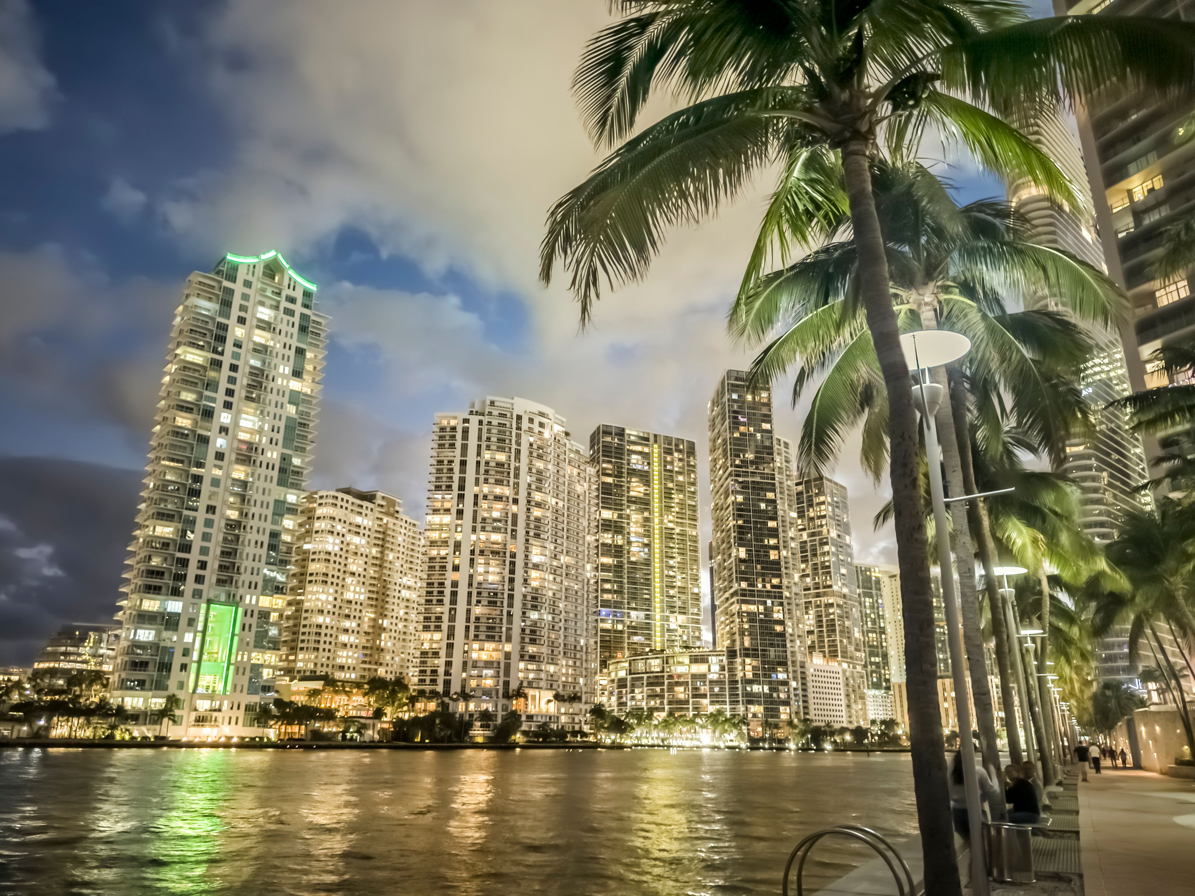 miami skyline nightlife