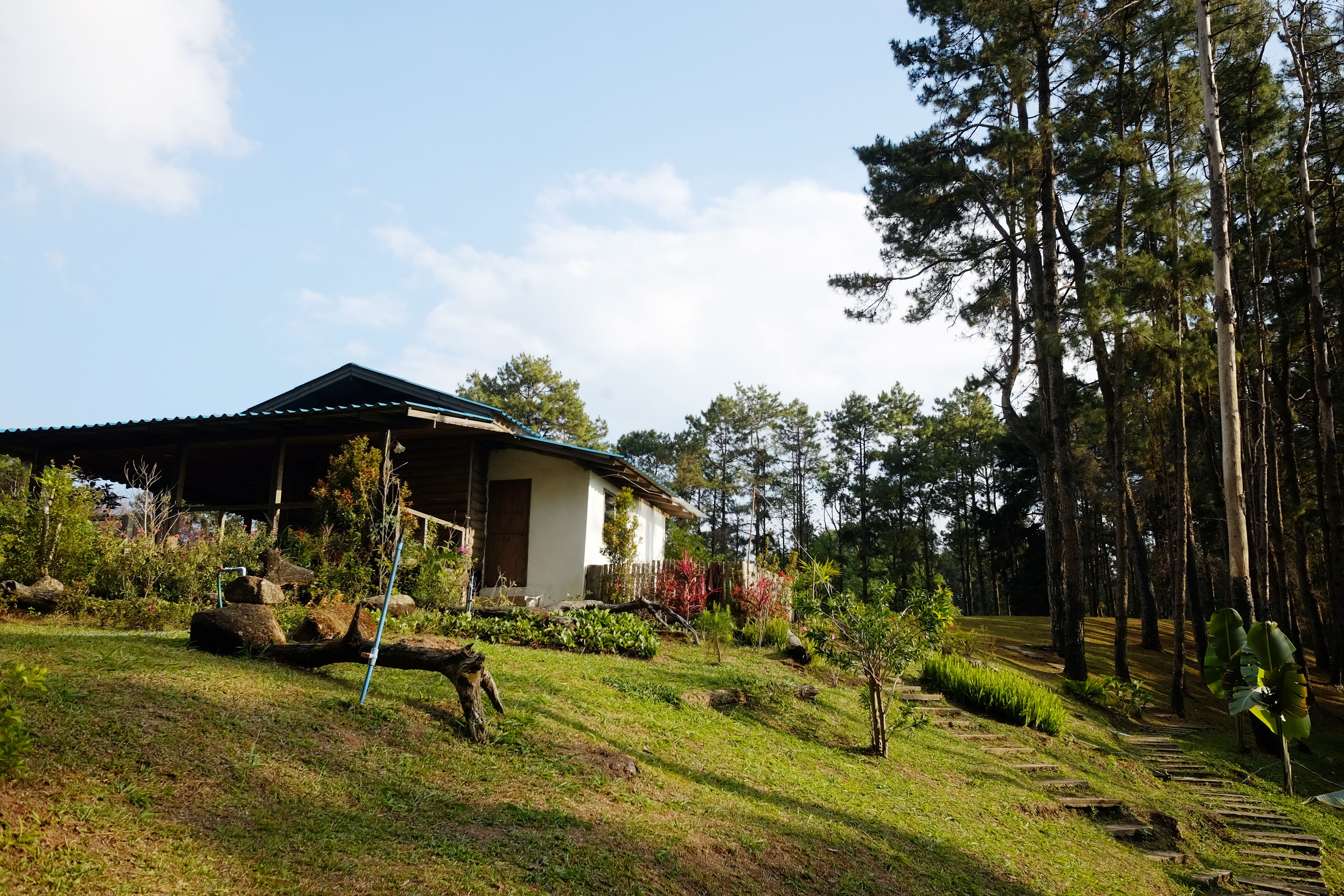 cultural homestay