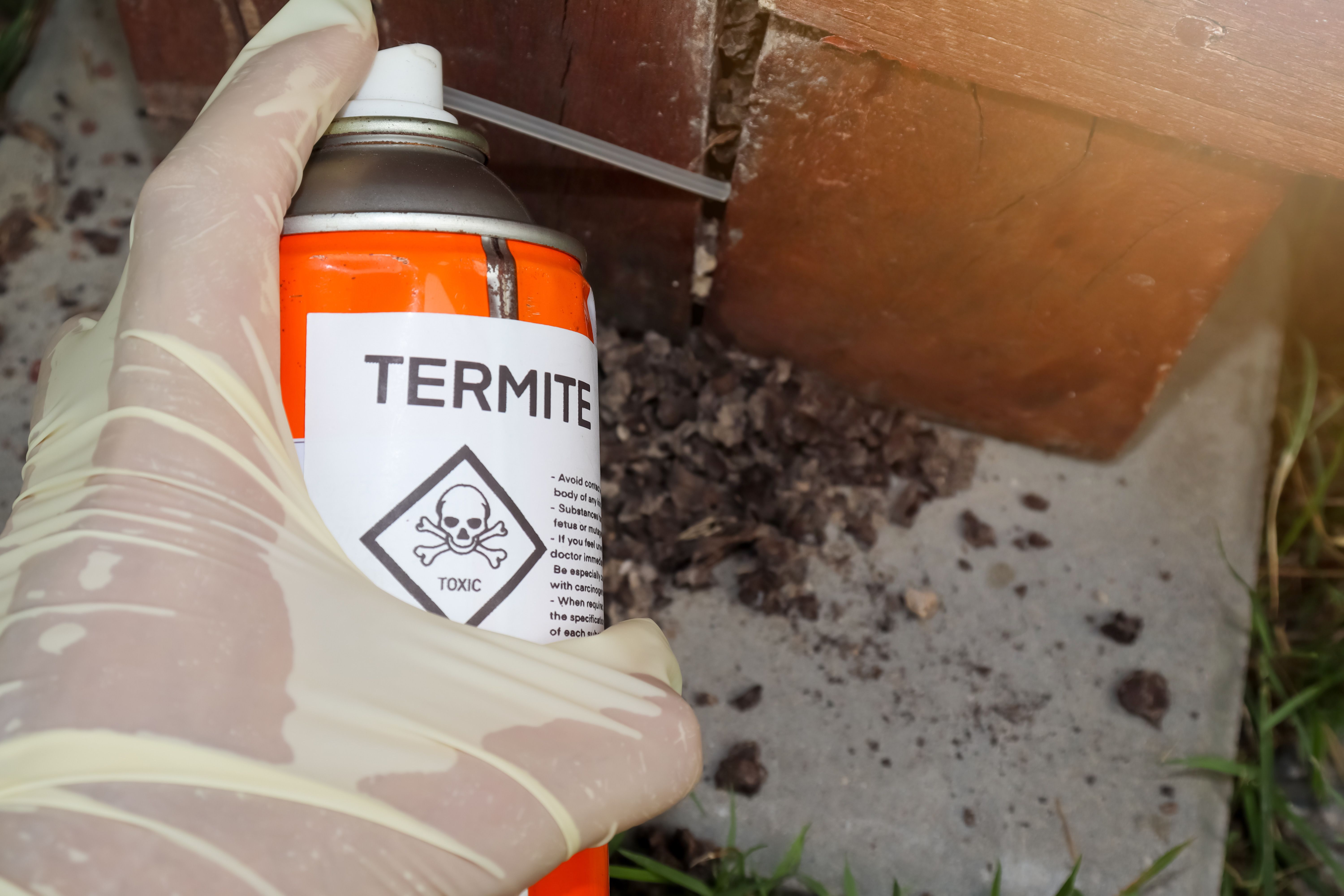 Spray chemicals to kill termites in the exterior structure holes