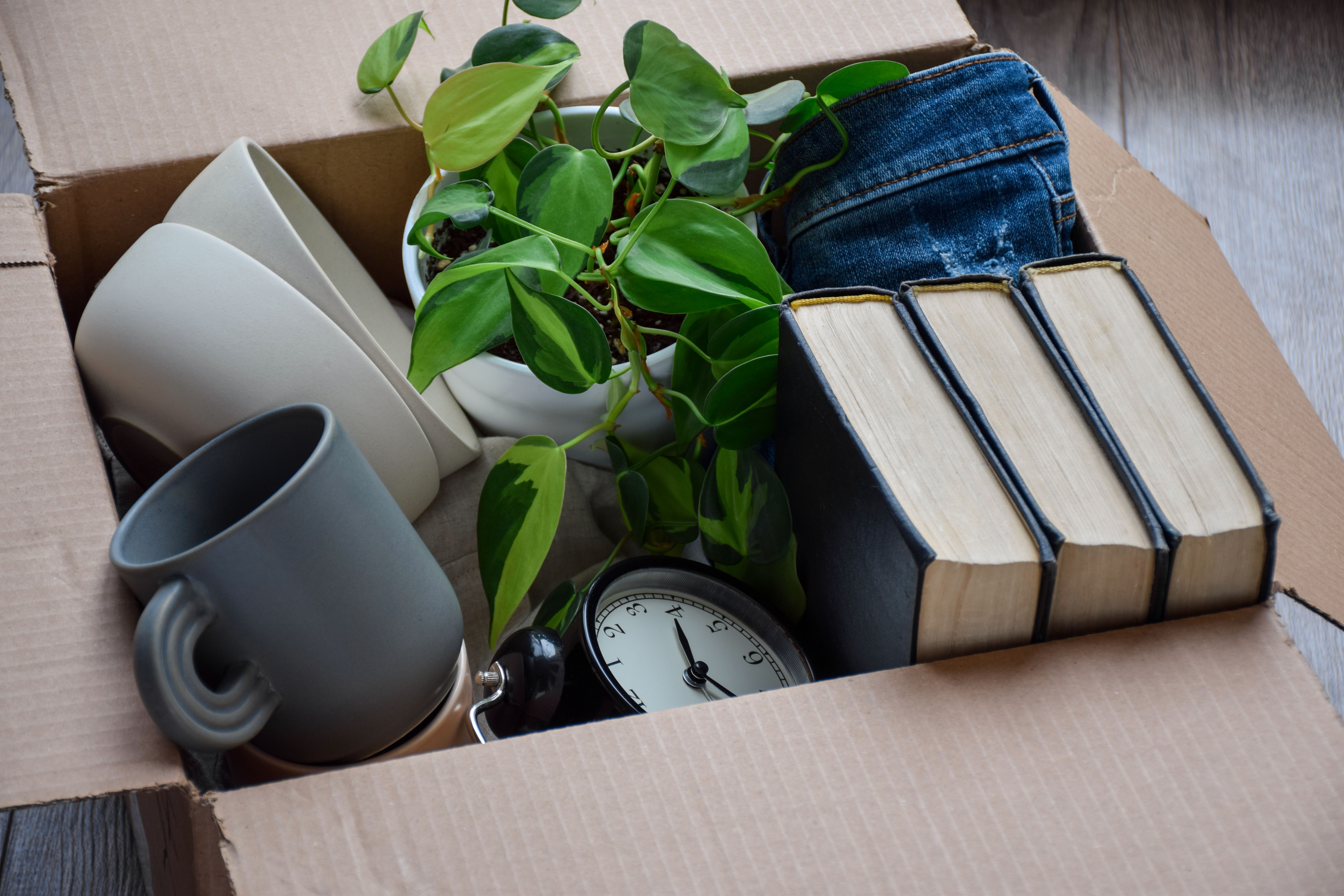 decluttering