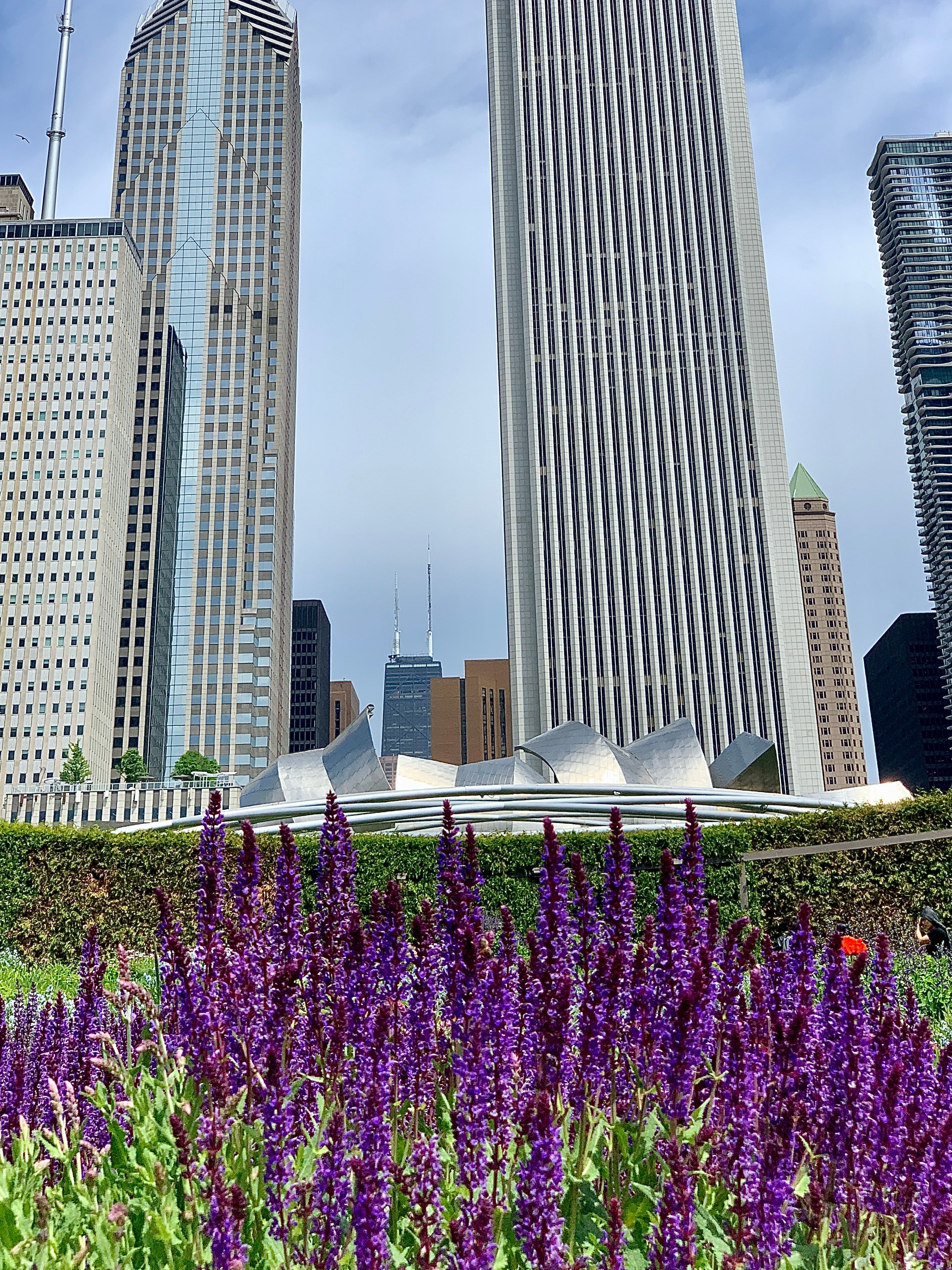 chicago garden
