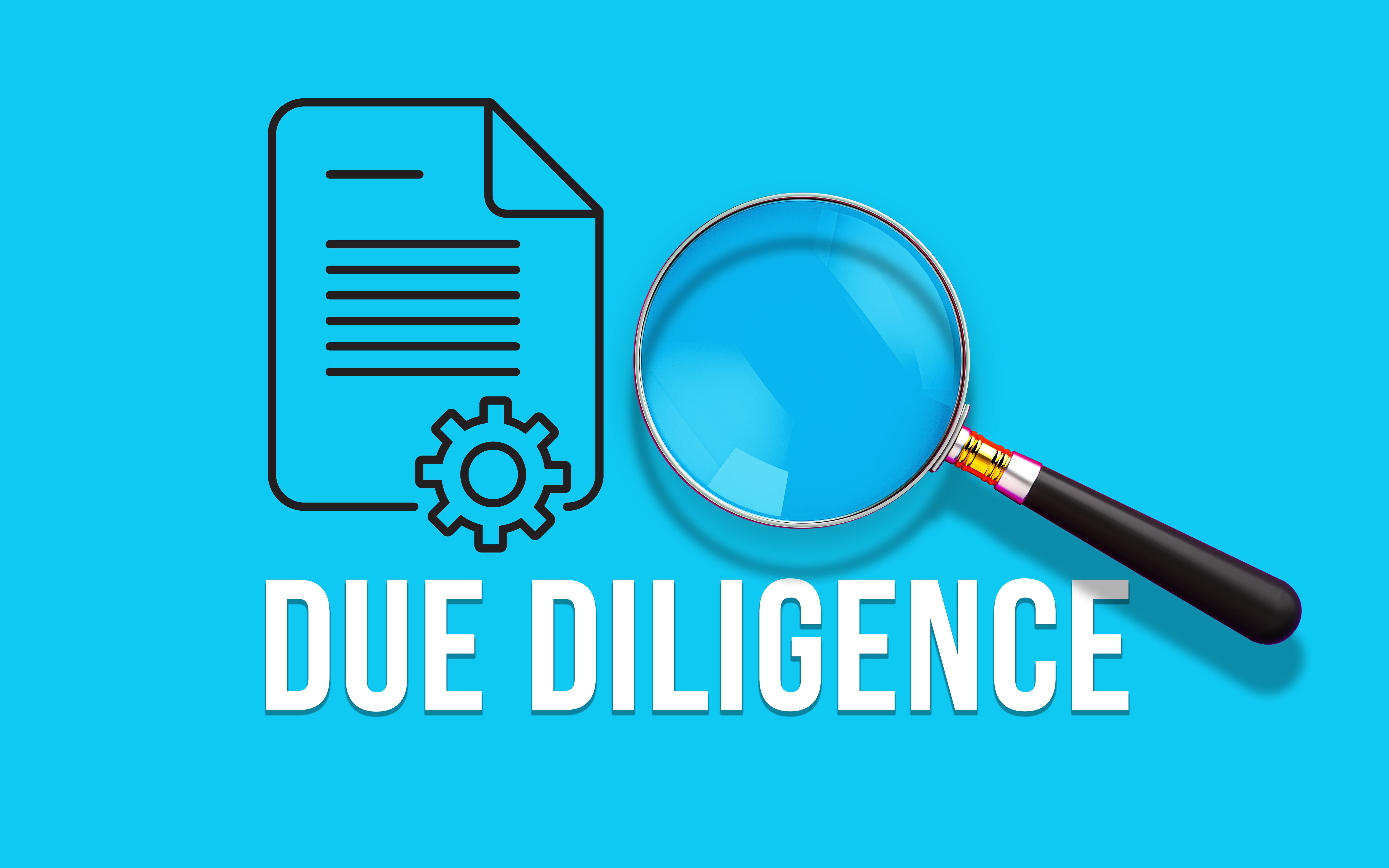 due diligence crypto