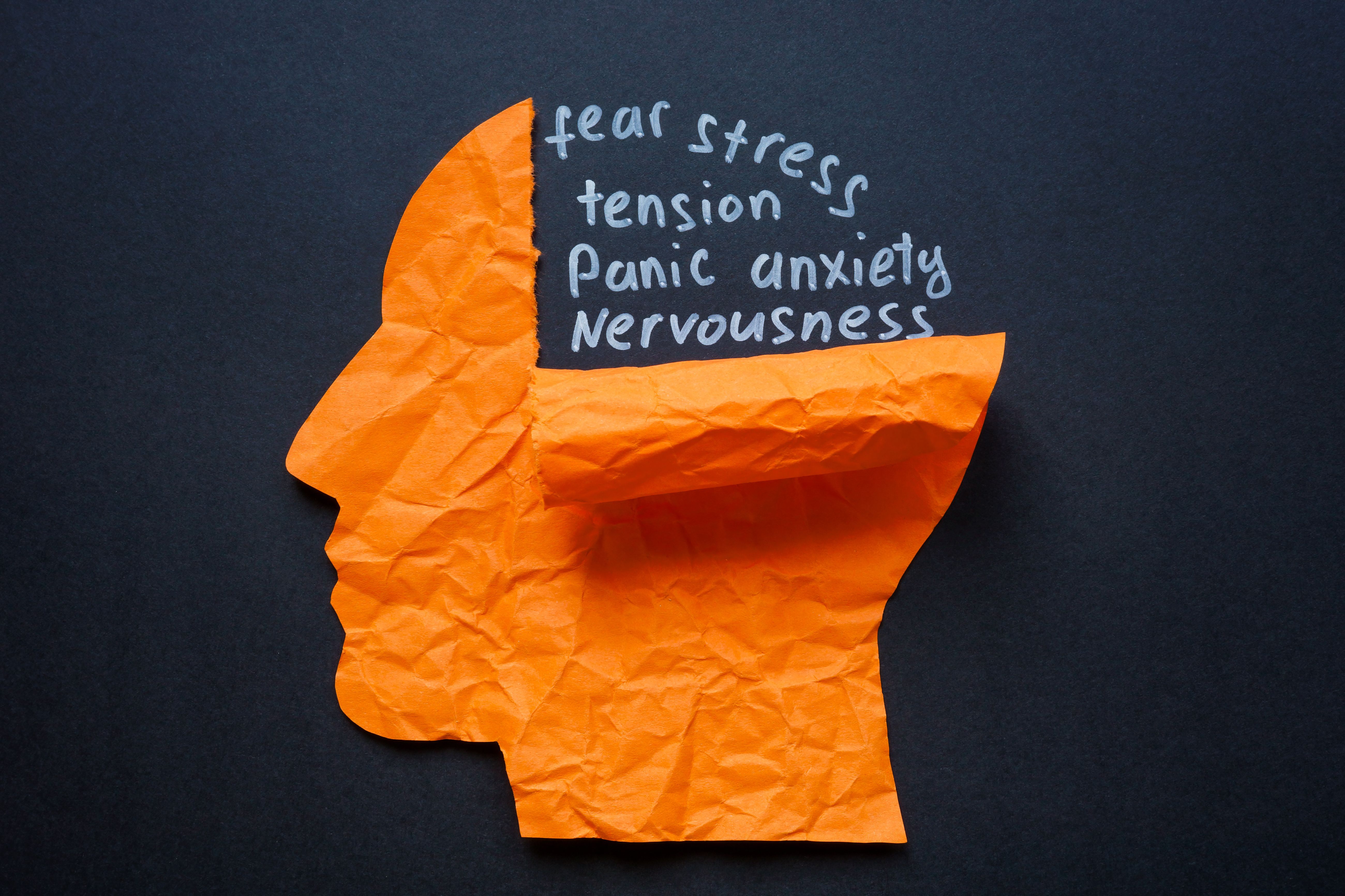 Torn paper head and the words fear stress and anxiety. Represents mental health struggles and emotional distress.