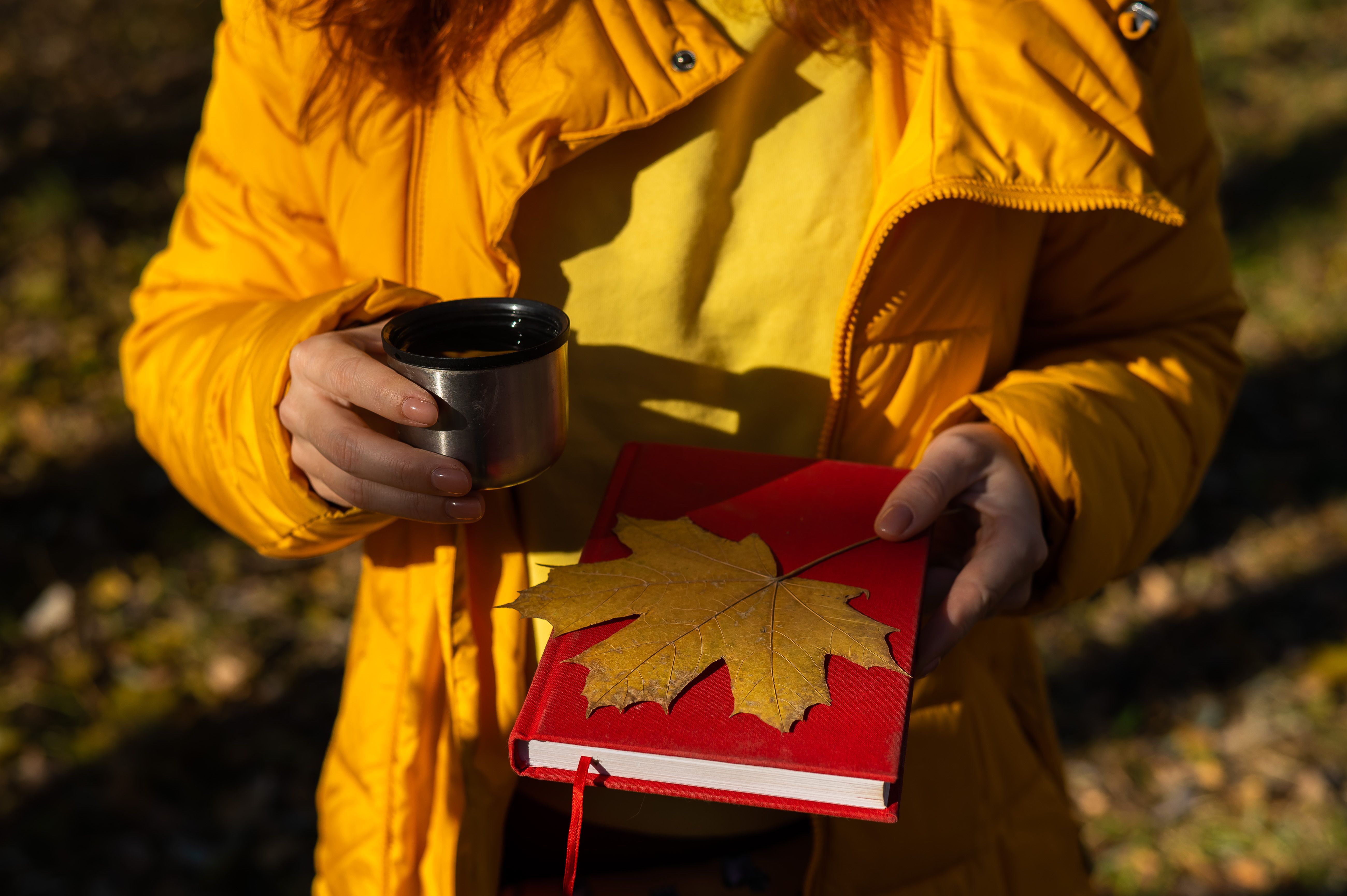 Woman holding thermos of hot tea red book and yellow fallen maple leaf in autumn. Woman holding thermos of hot tea red book and yellow fallen maple leaf in autumn.