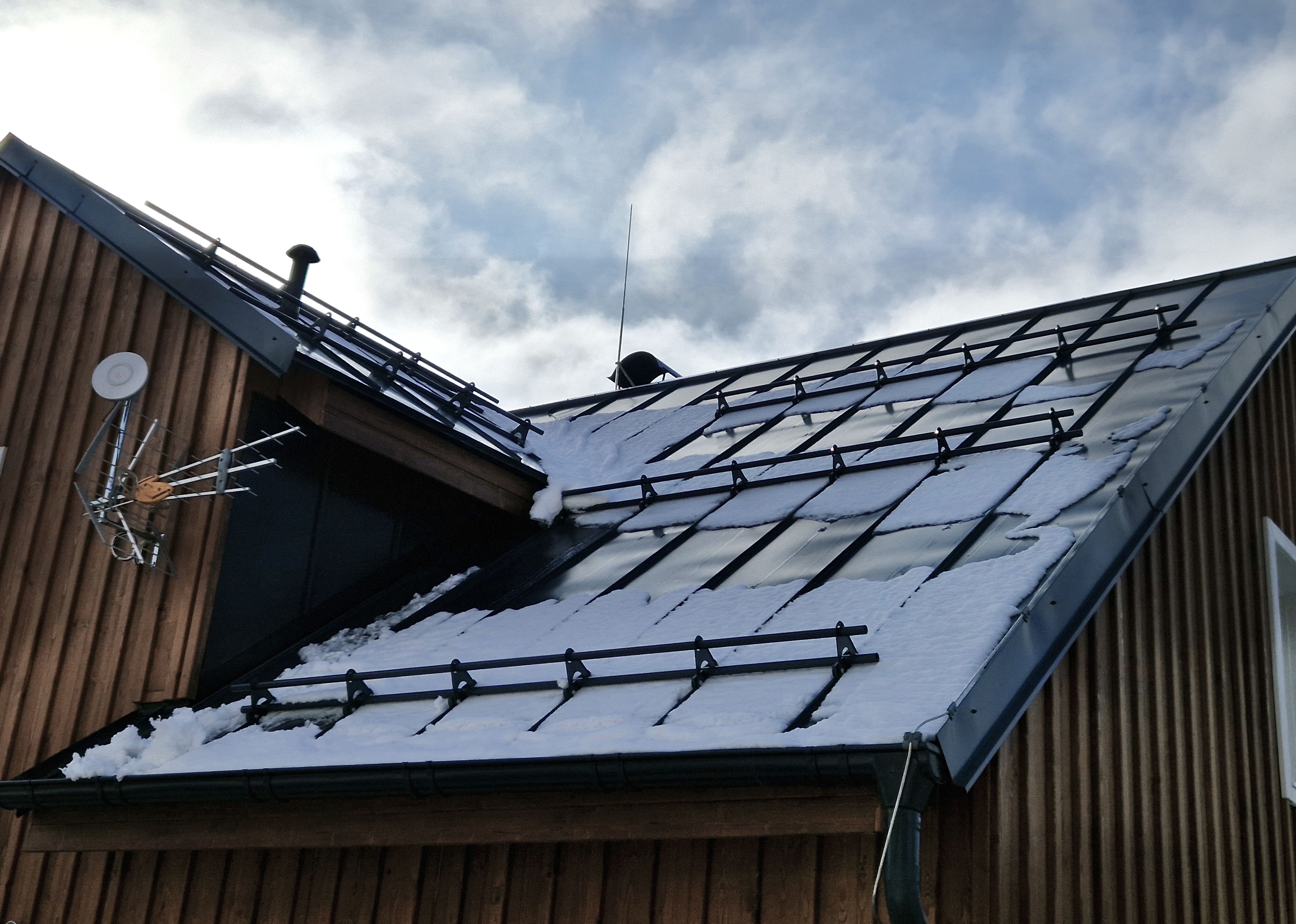 snow roof protection