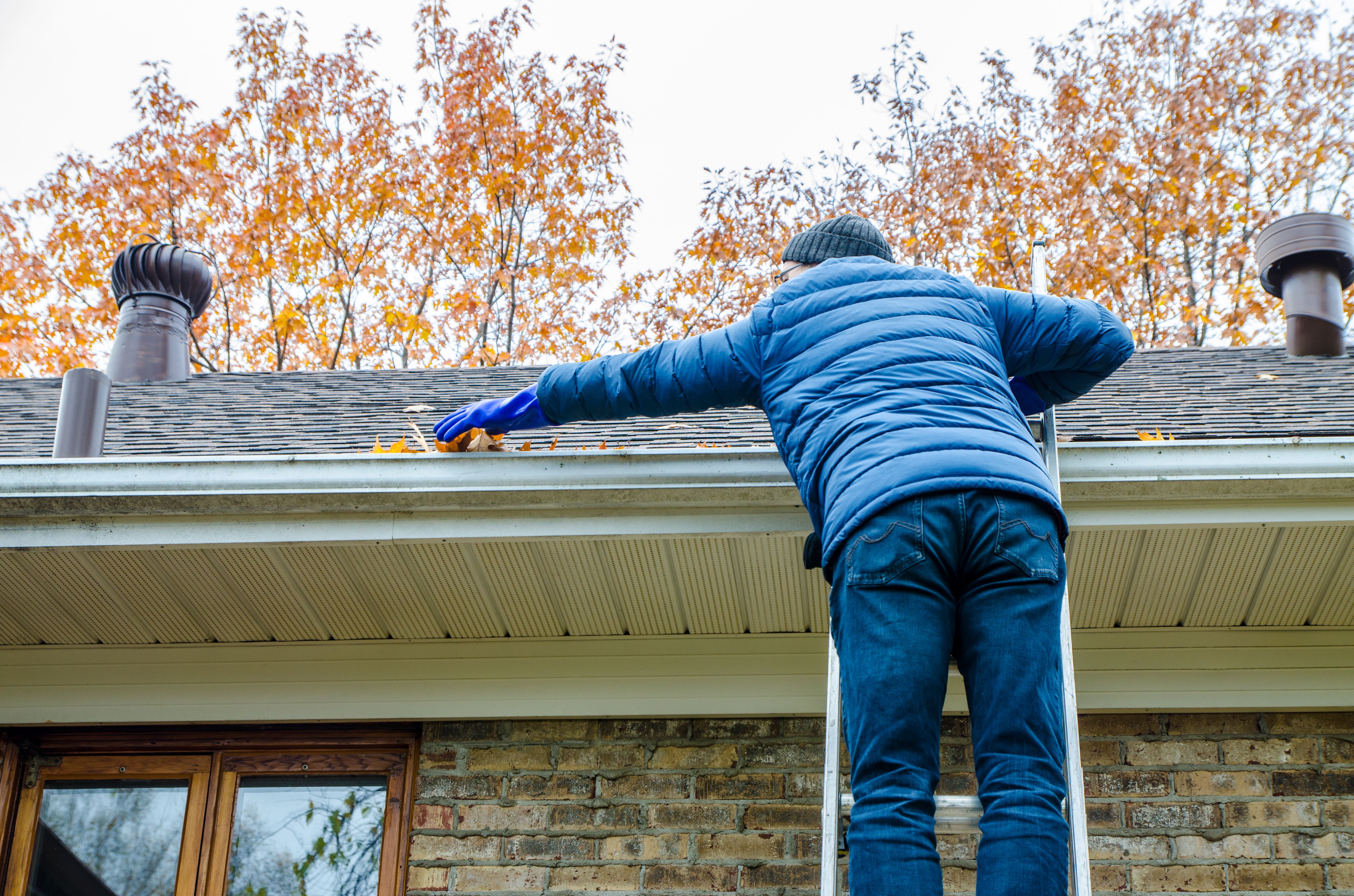 gutter cleaning