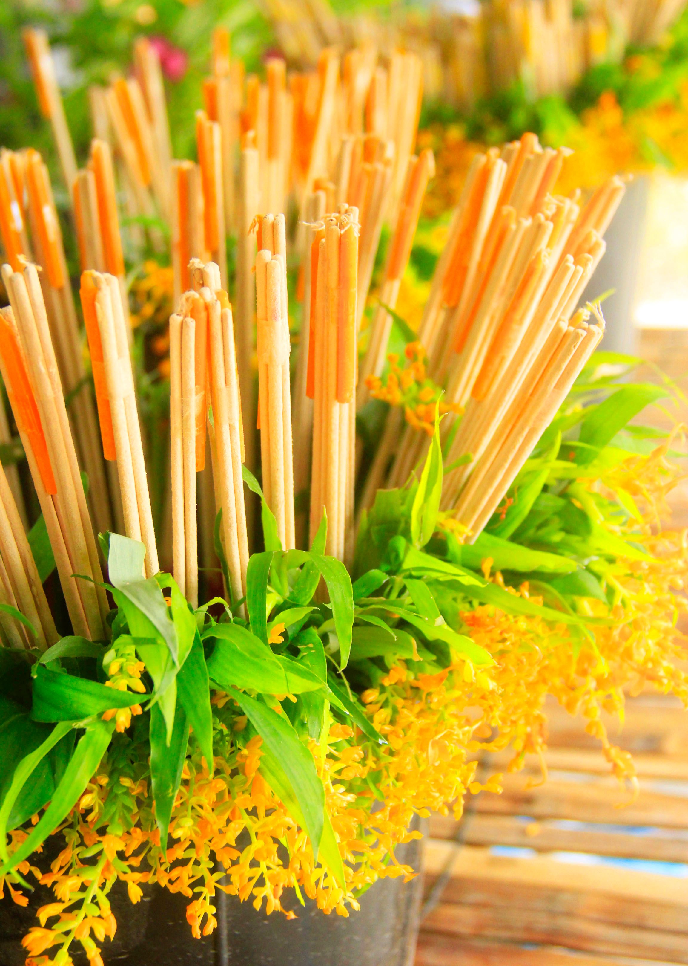 Buddhist Lent Flower( Globba )