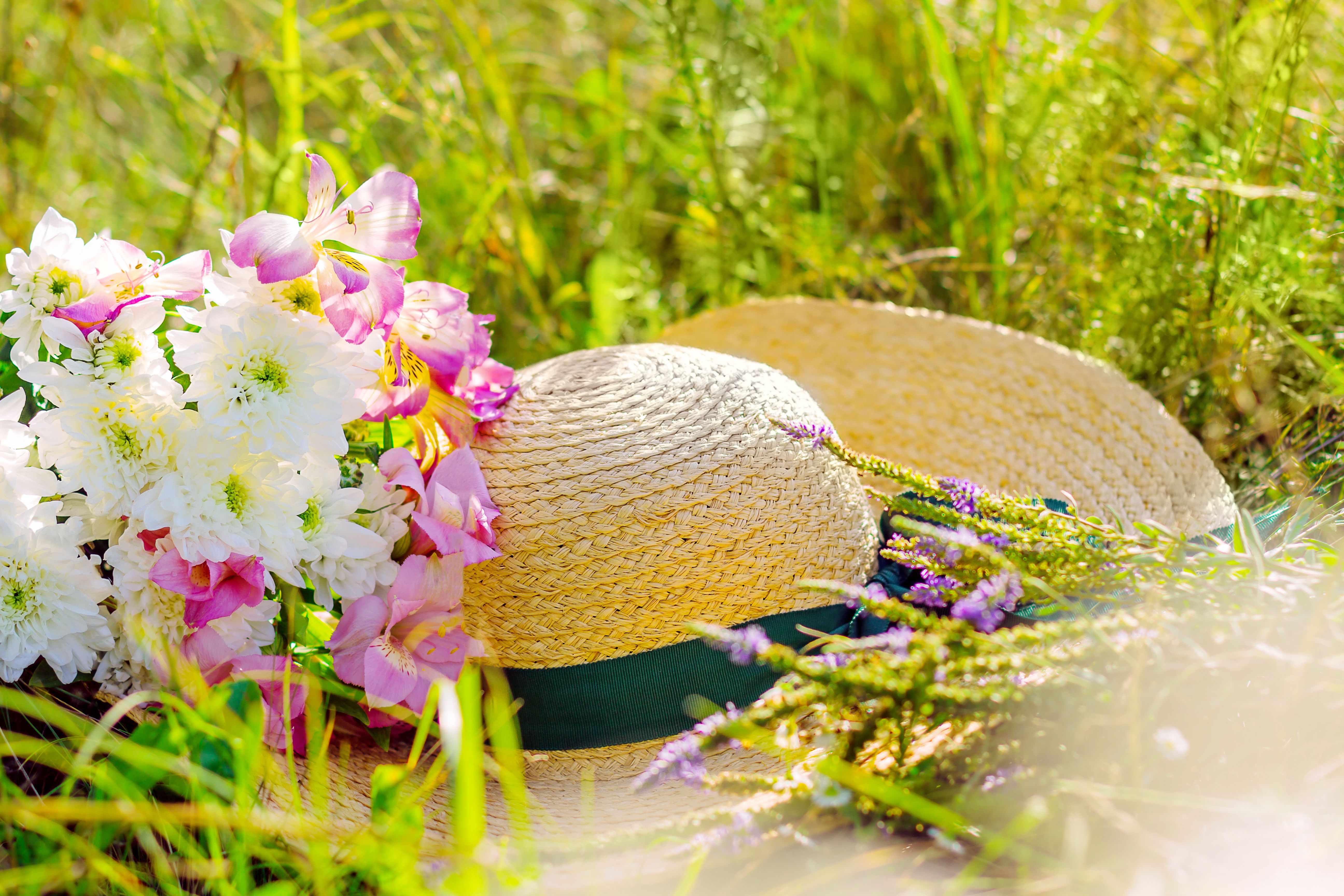bestattung sommer