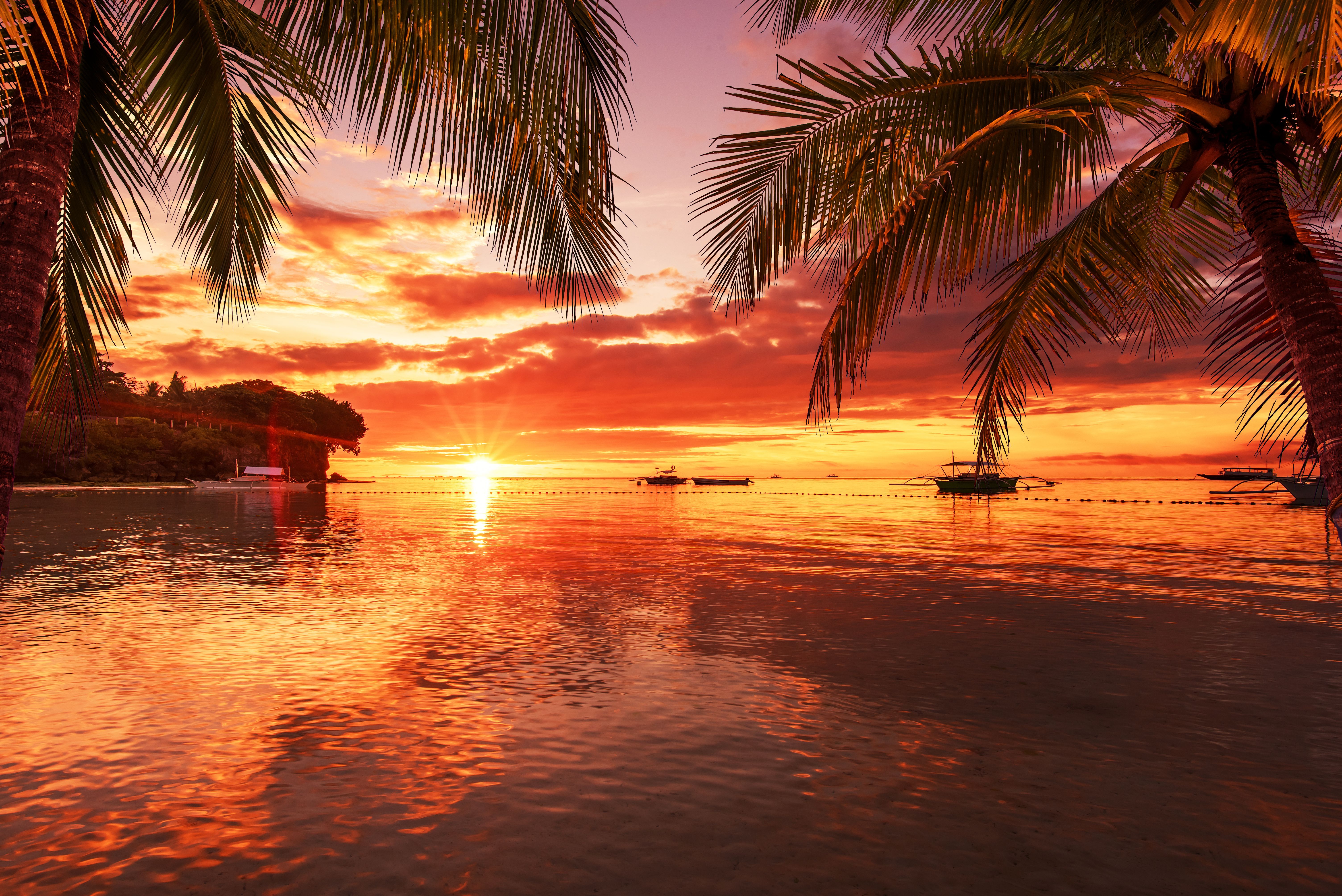 tropical sunset