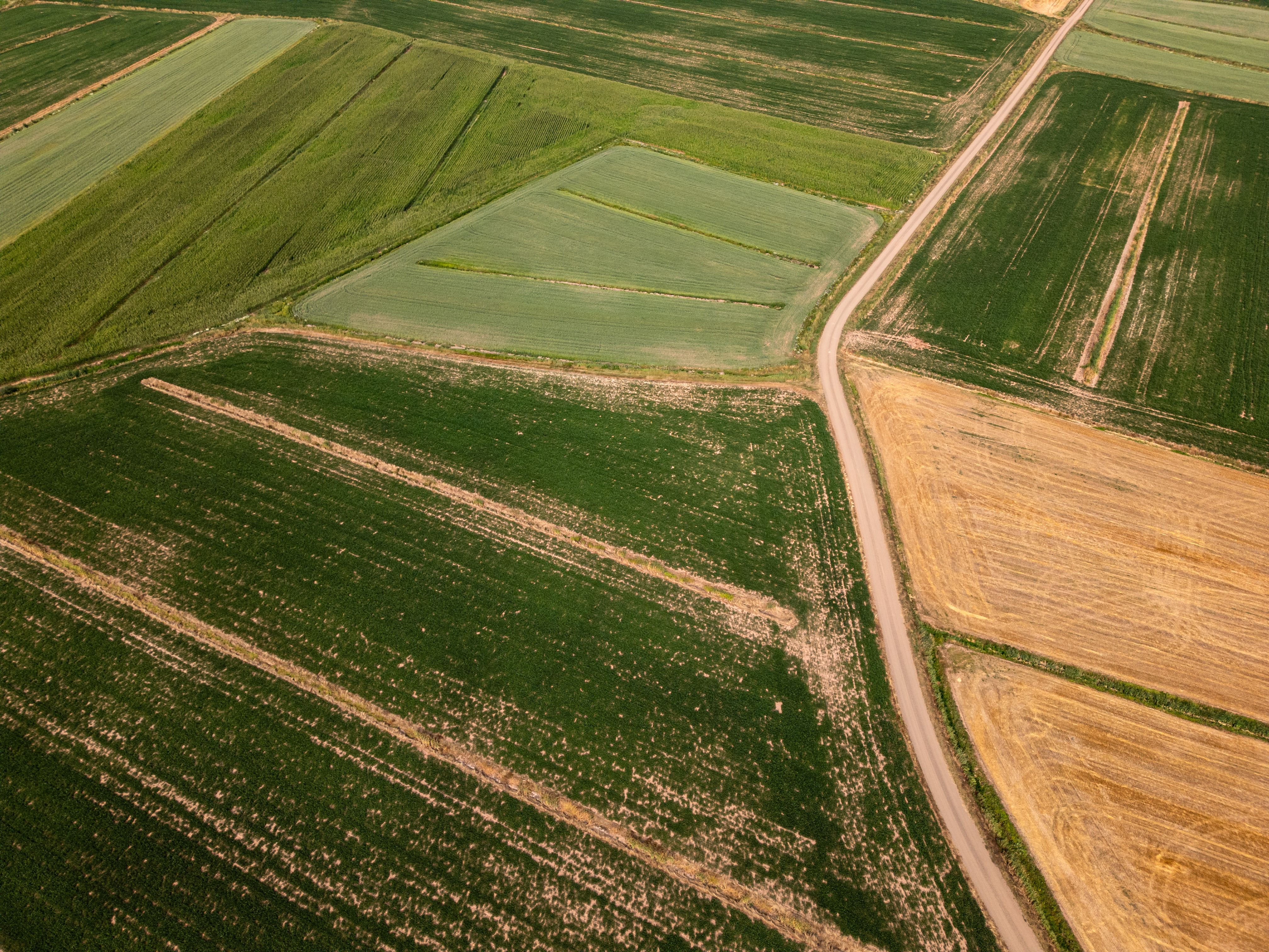 wide angle photography