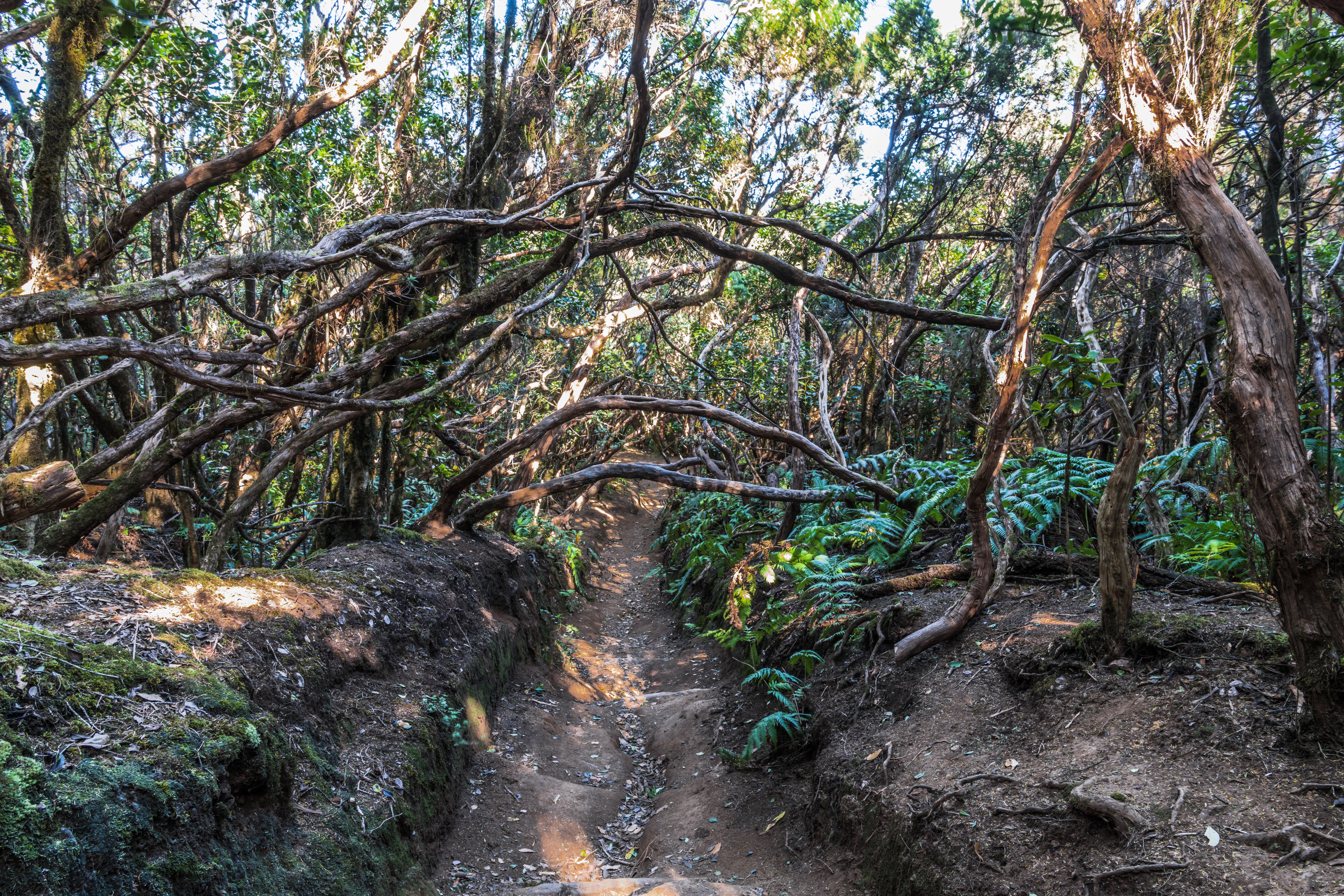 disney park off peak