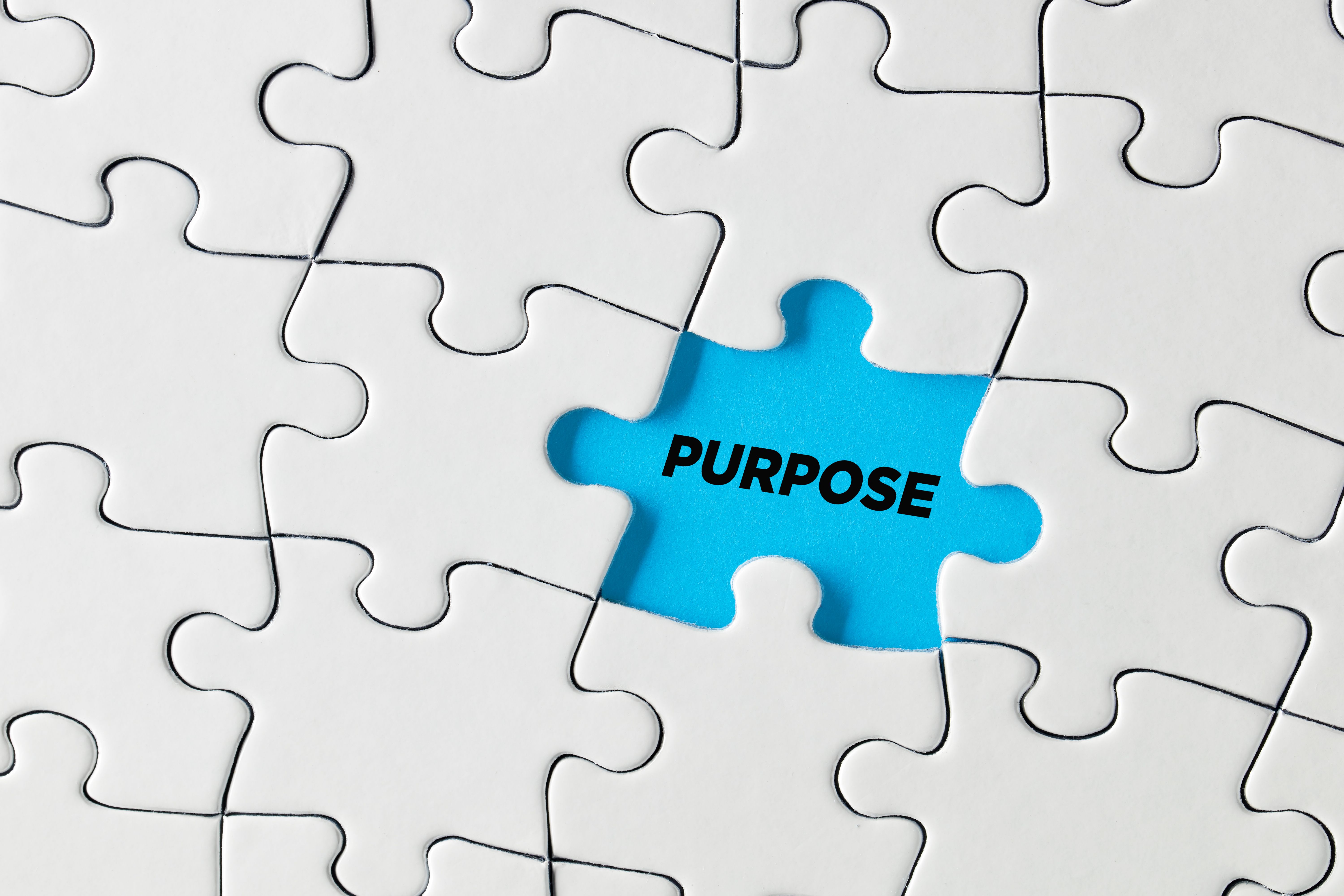 The word purpose written on blue missing puzzle piece. Discovering the purpose The word purpose written on blue missing puzzle piece. Discovering the purpose