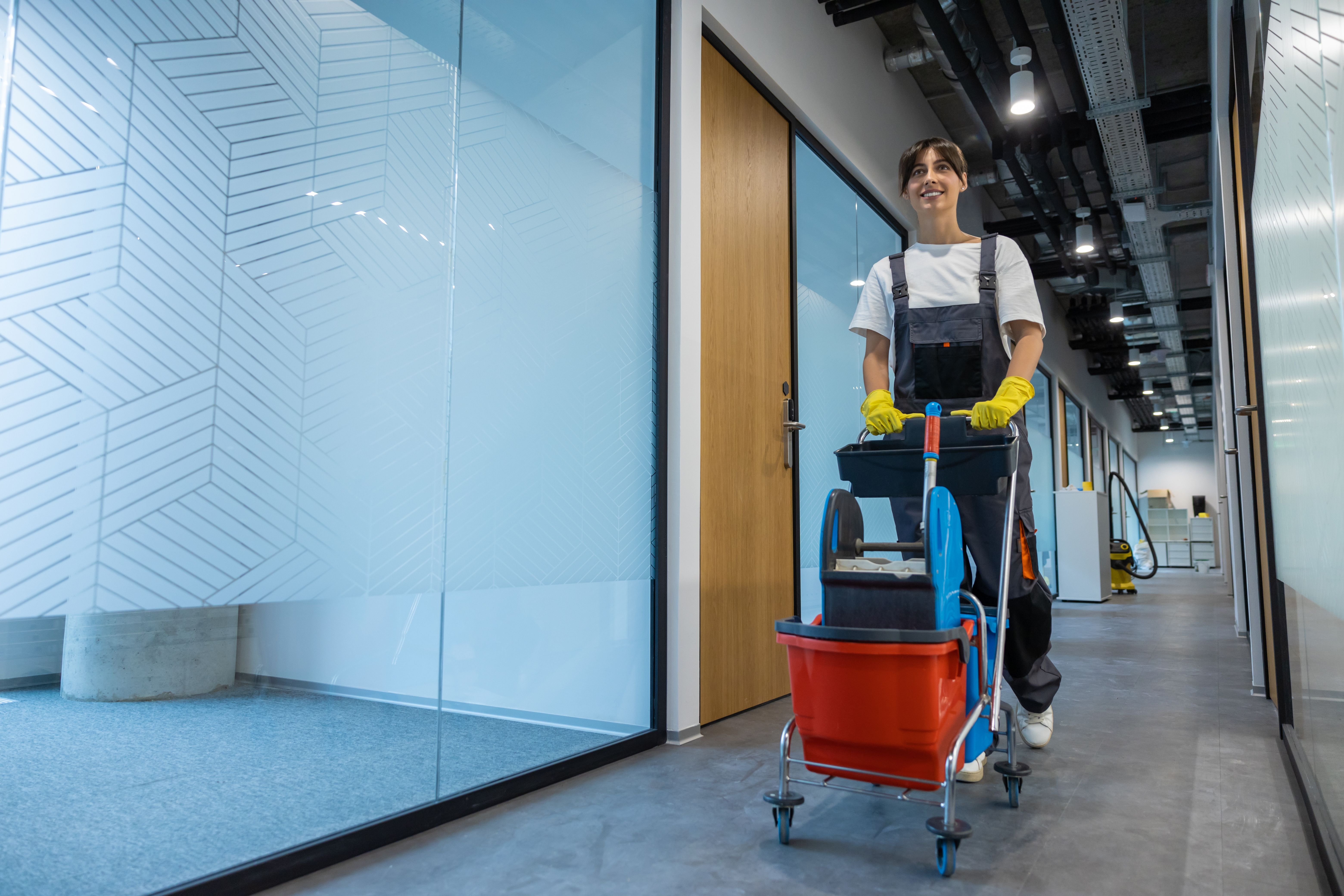 cleaning service