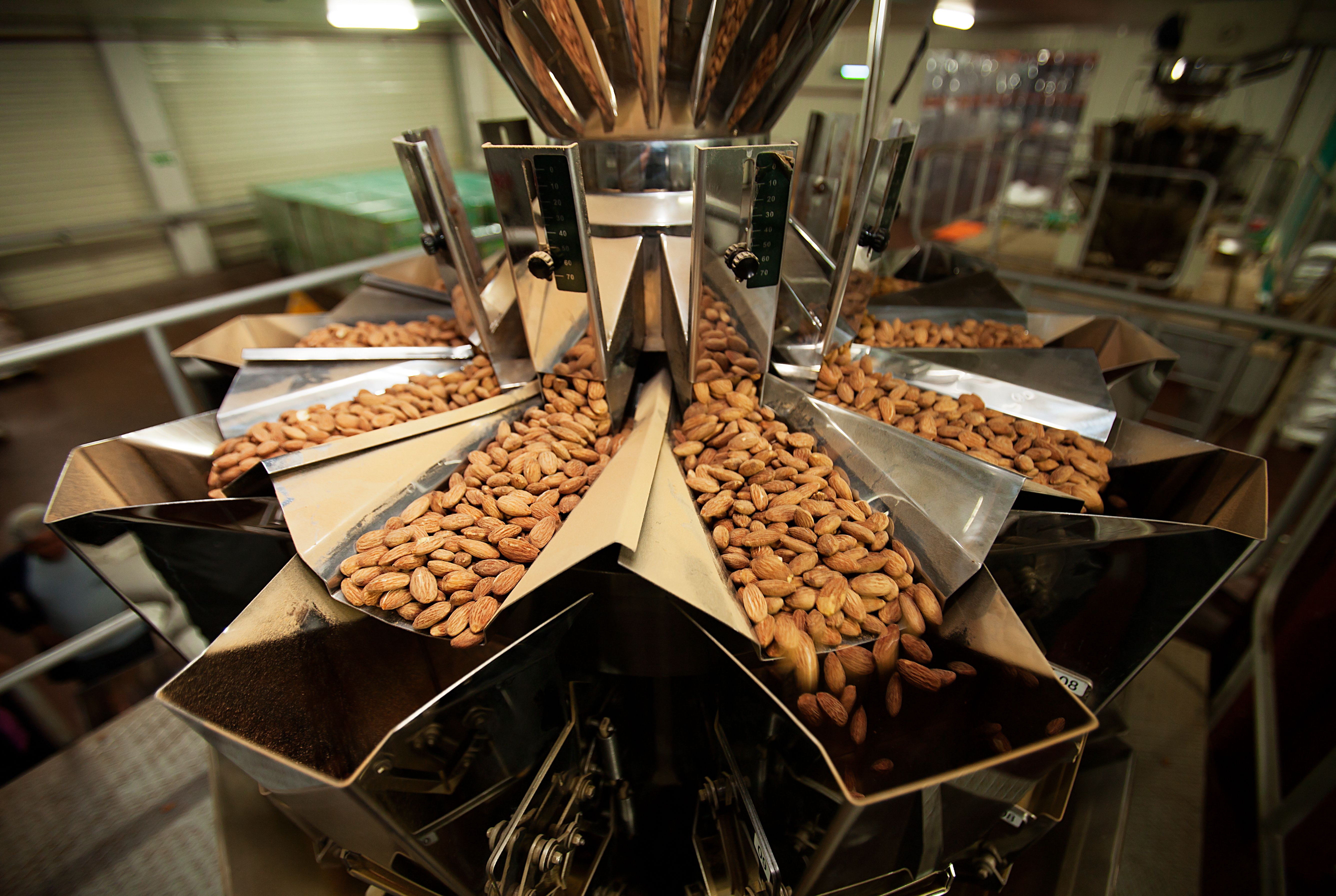 almond