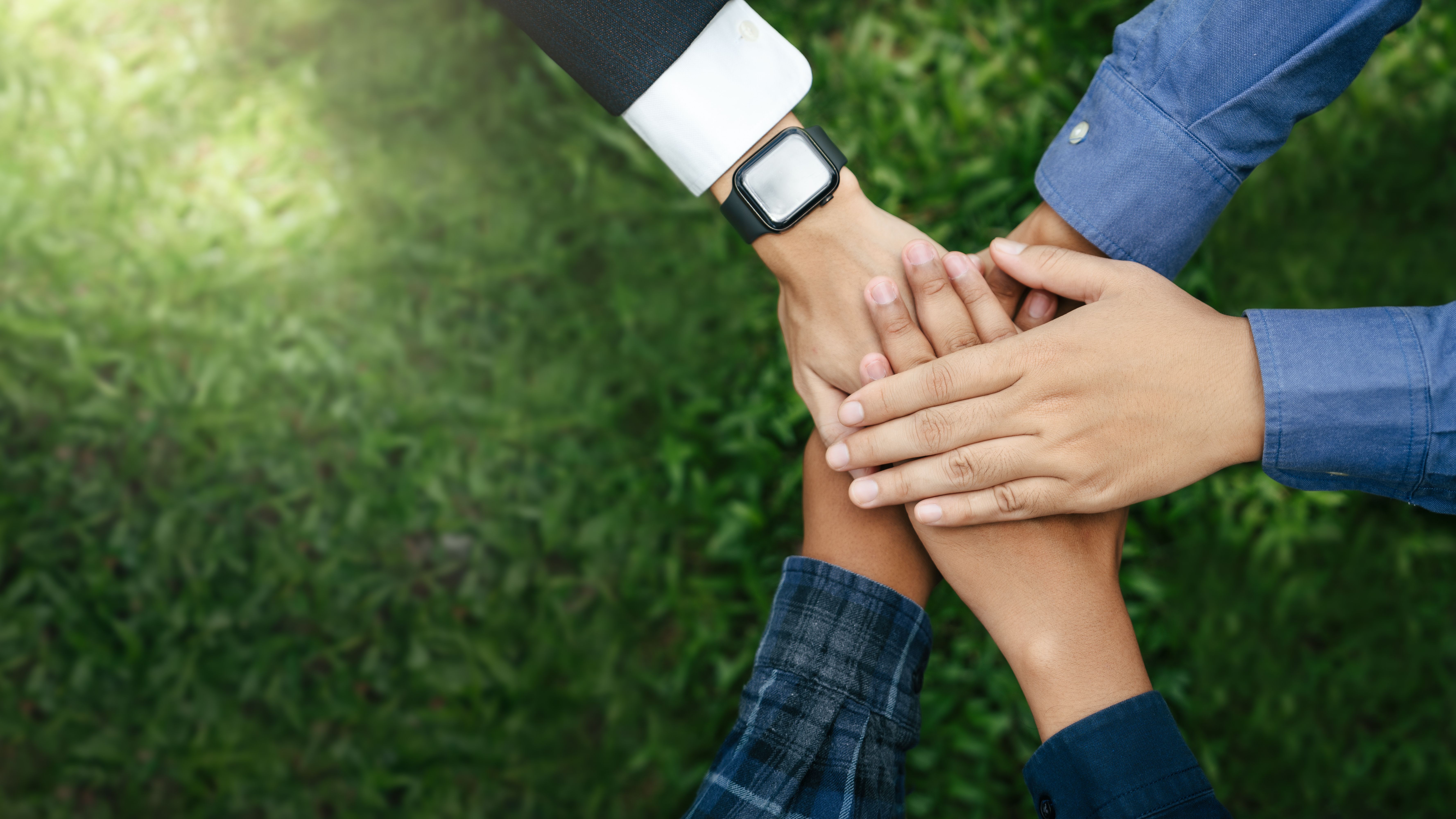 nonprofit transparency